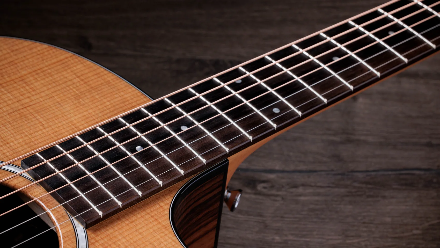 214ce Plus Indian Rosewood Acoustic-Electric Guitar | Taylor Guitars