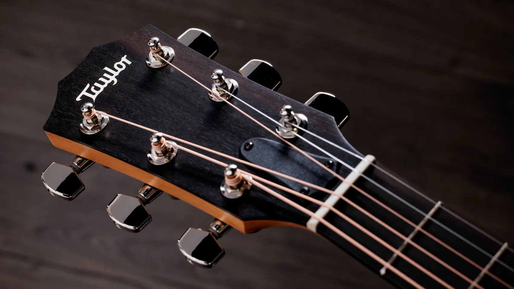 214ce Plus Indian Rosewood Acoustic-Electric Guitar | Taylor Guitars