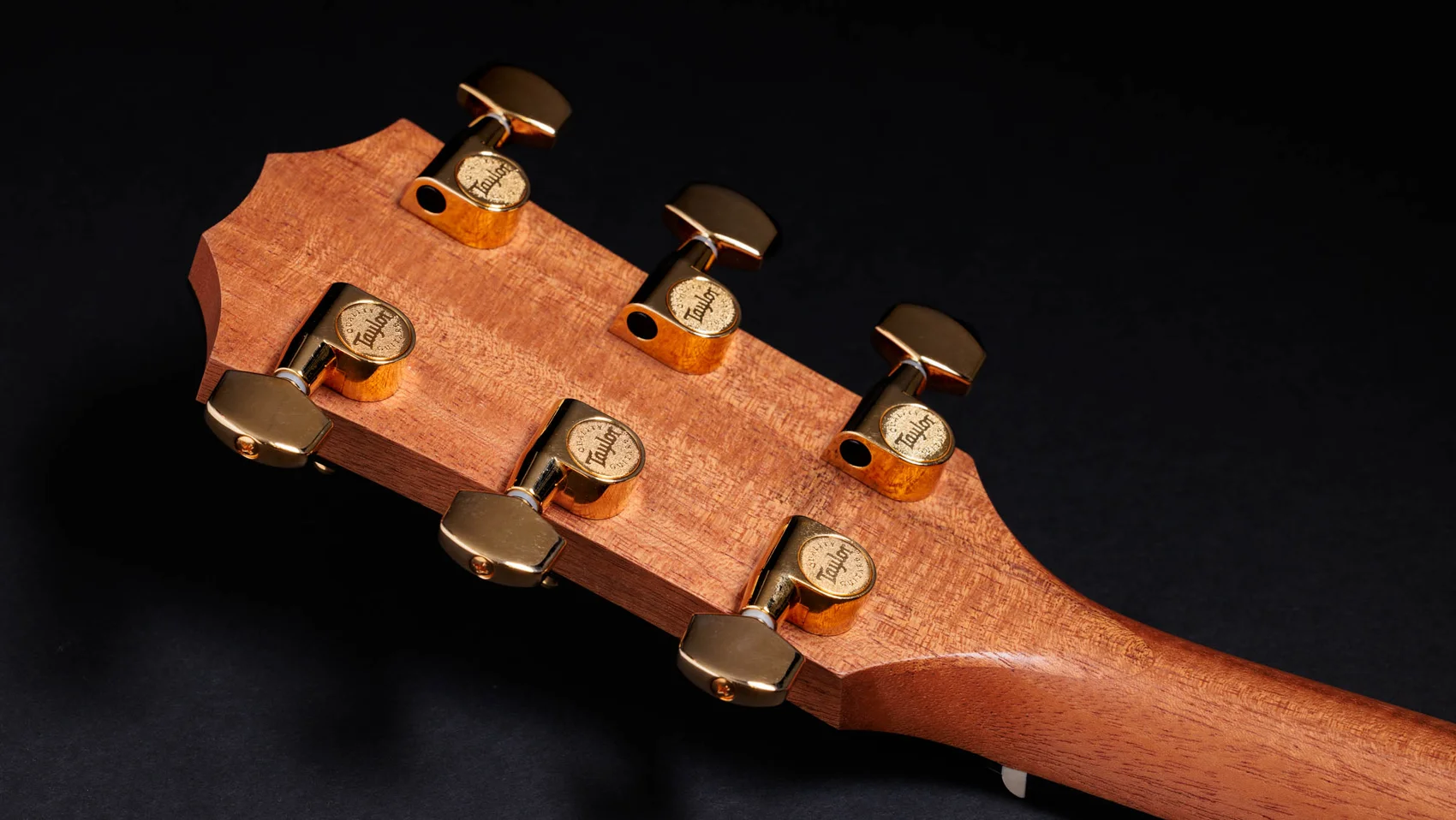 50th Anniversary 217e-SB Plus LTD Indian Rosewood Acoustic