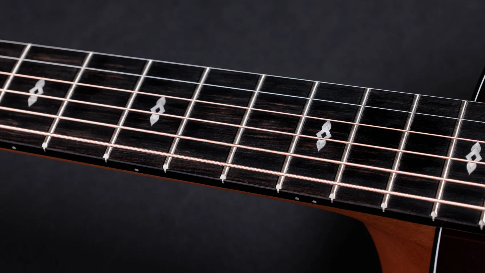 50th Anniversary 217e-SB Plus LTD Indian Rosewood Acoustic