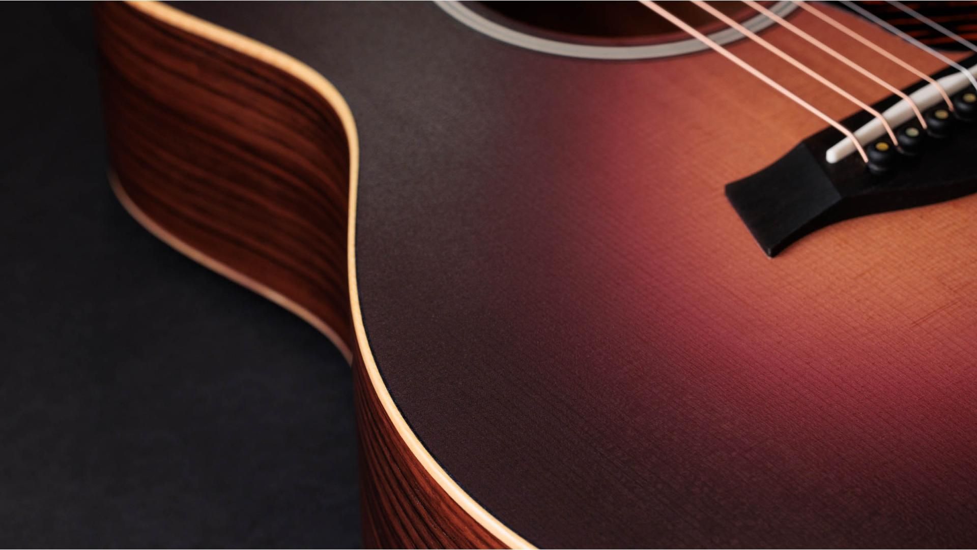 Taylor GS Mini-e Rosewood SB LTD 50周年モデル 50th Anniversary GS Mini-e Rosewood LTD Indian Rosewood