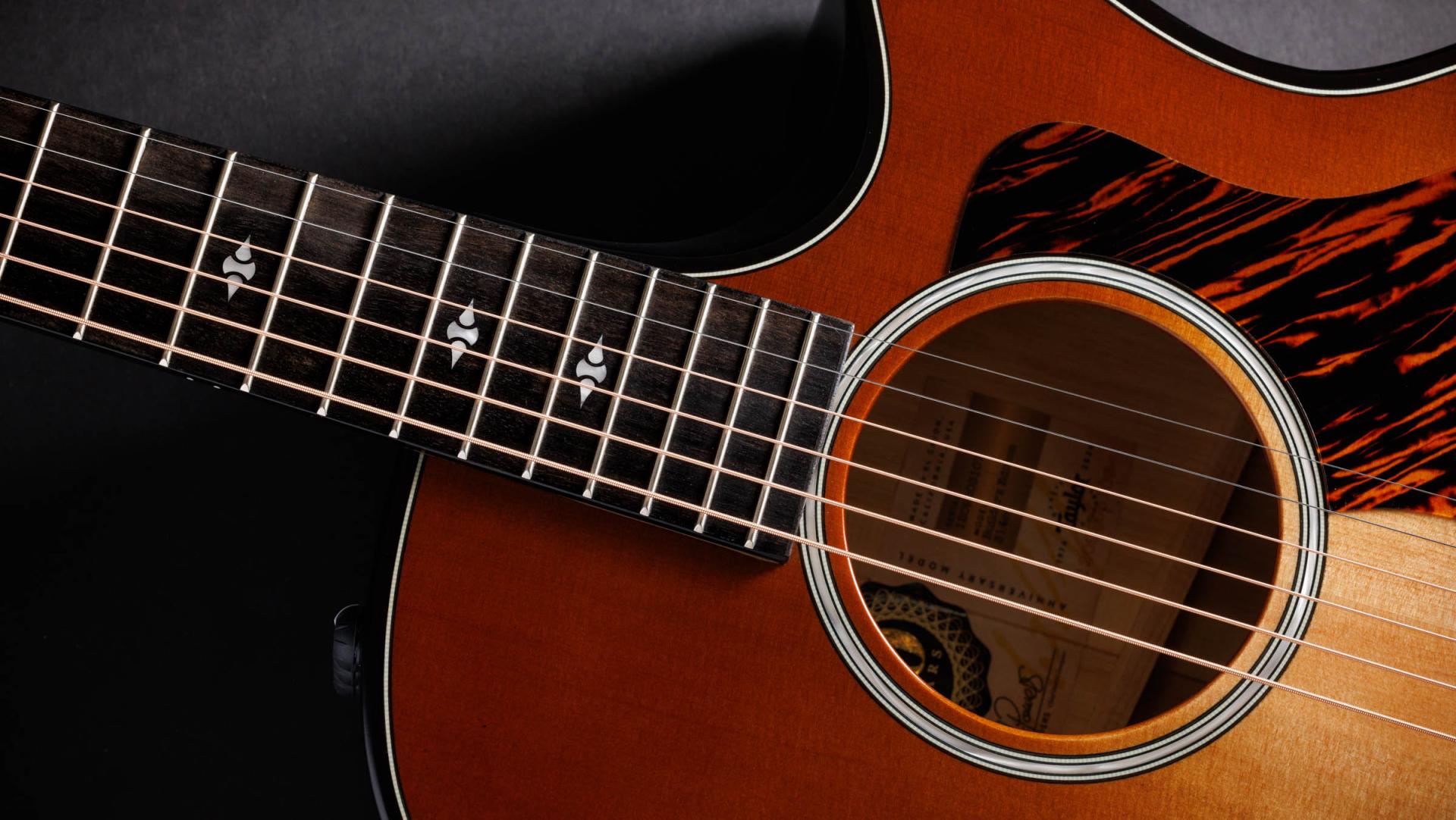 50th Anniversary Builder's Edition 314ce LTD Shamel Ash