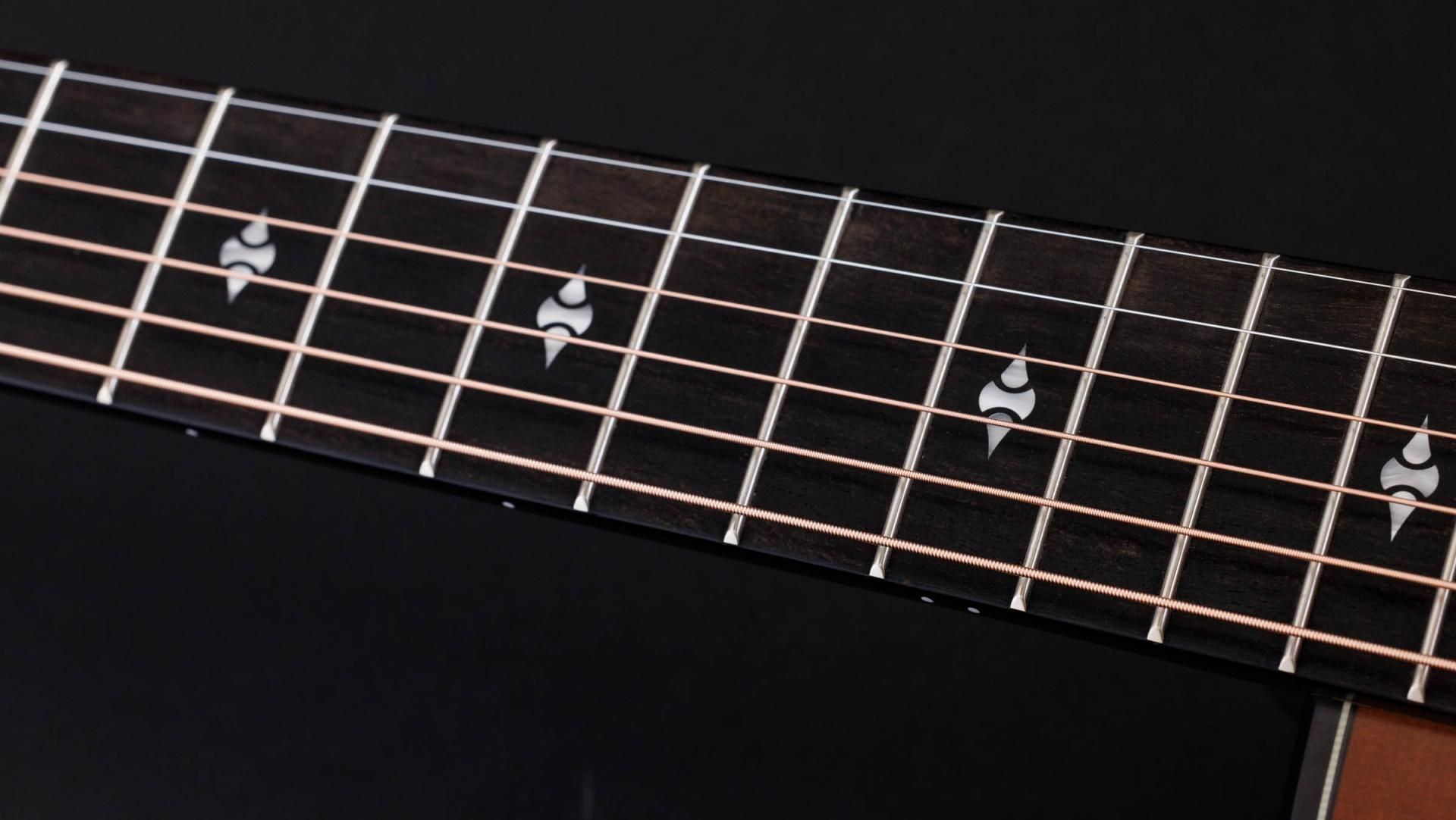 50th Anniversary Builder's Edition 314ce LTD Shamel Ash