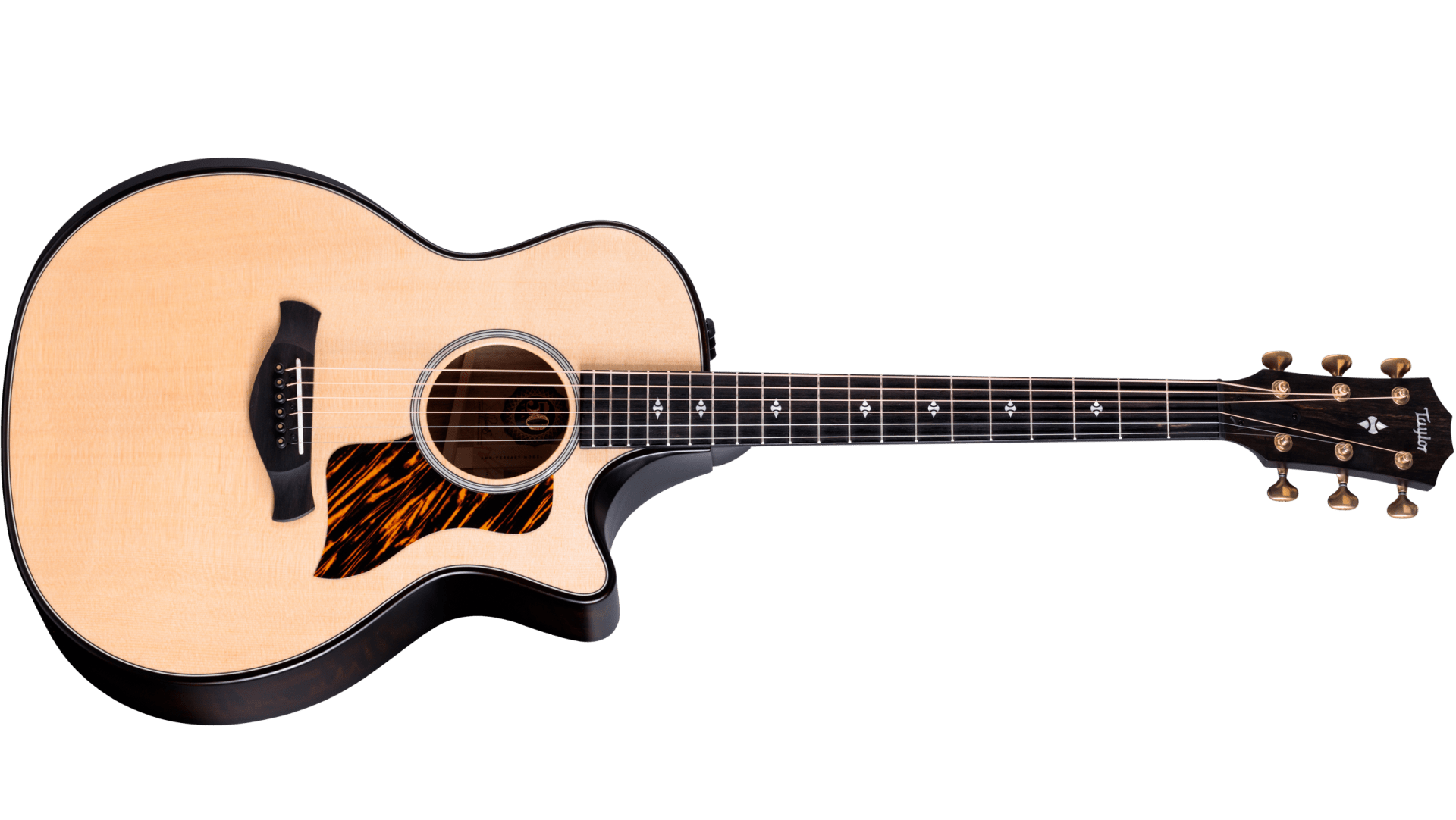 50th Anniversary Builder's Edition 314ce LTD Shamel Ash 50th Anniversary Builder's Edition 314ce LTD Shamel Ash