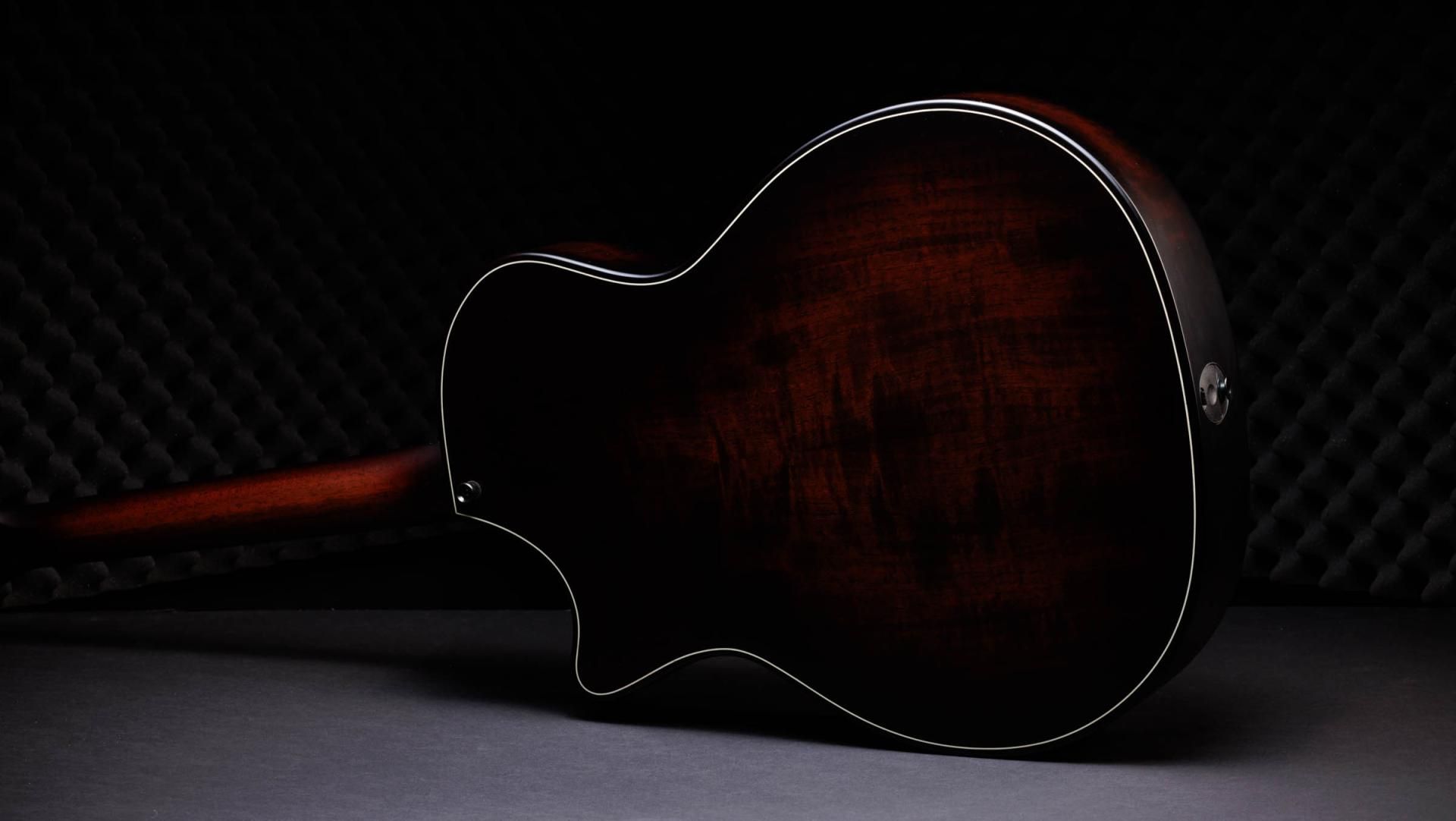 50th Anniversary Builder's Edition 314ce LTD Shamel Ash