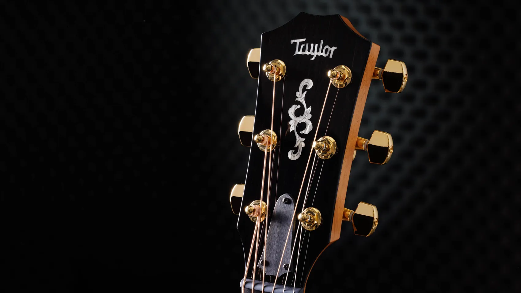 414ce Special Edition Indian Rosewood Acoustic-Electric Guitar