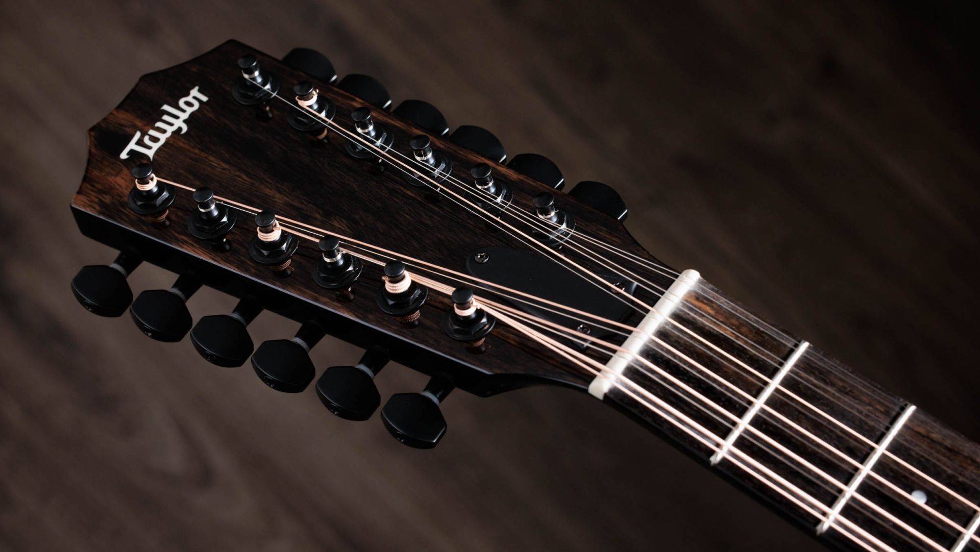 Taylor-250ce-BLK-Plus-