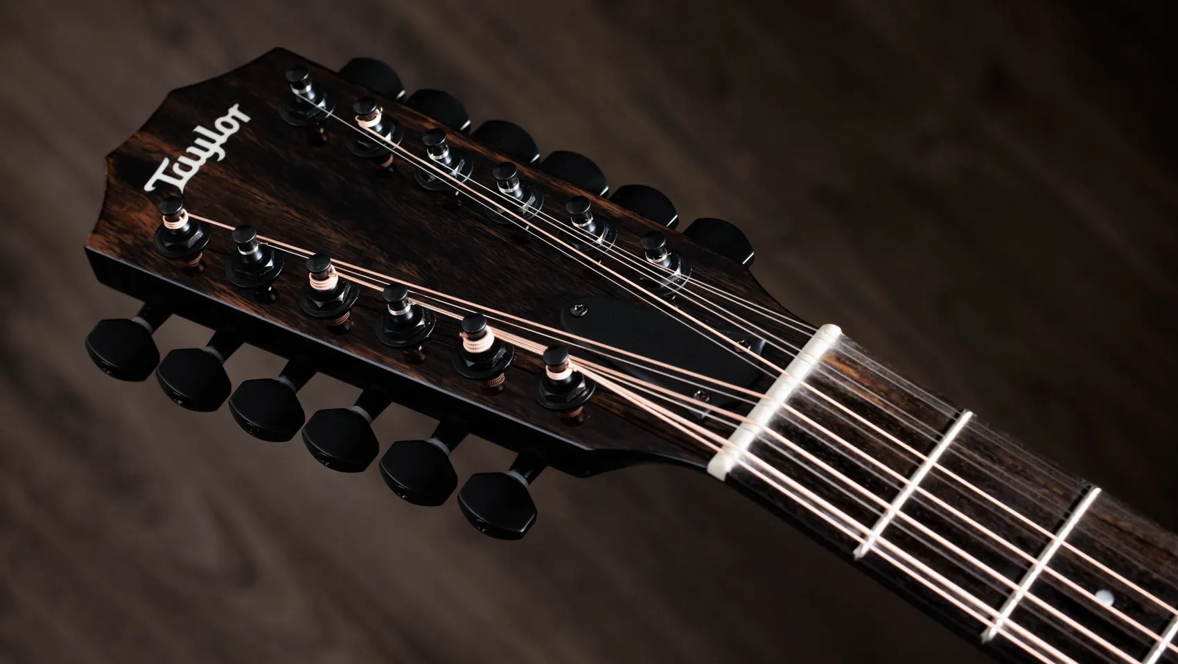 250ce-BLK Plus Big Leaf Maple Acoustic-Electric Guitar | Taylor