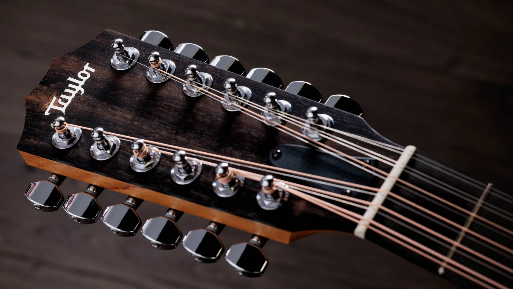 254ce Plus Indian Rosewood Acoustic-Electric Guitar | Taylor Guitars
