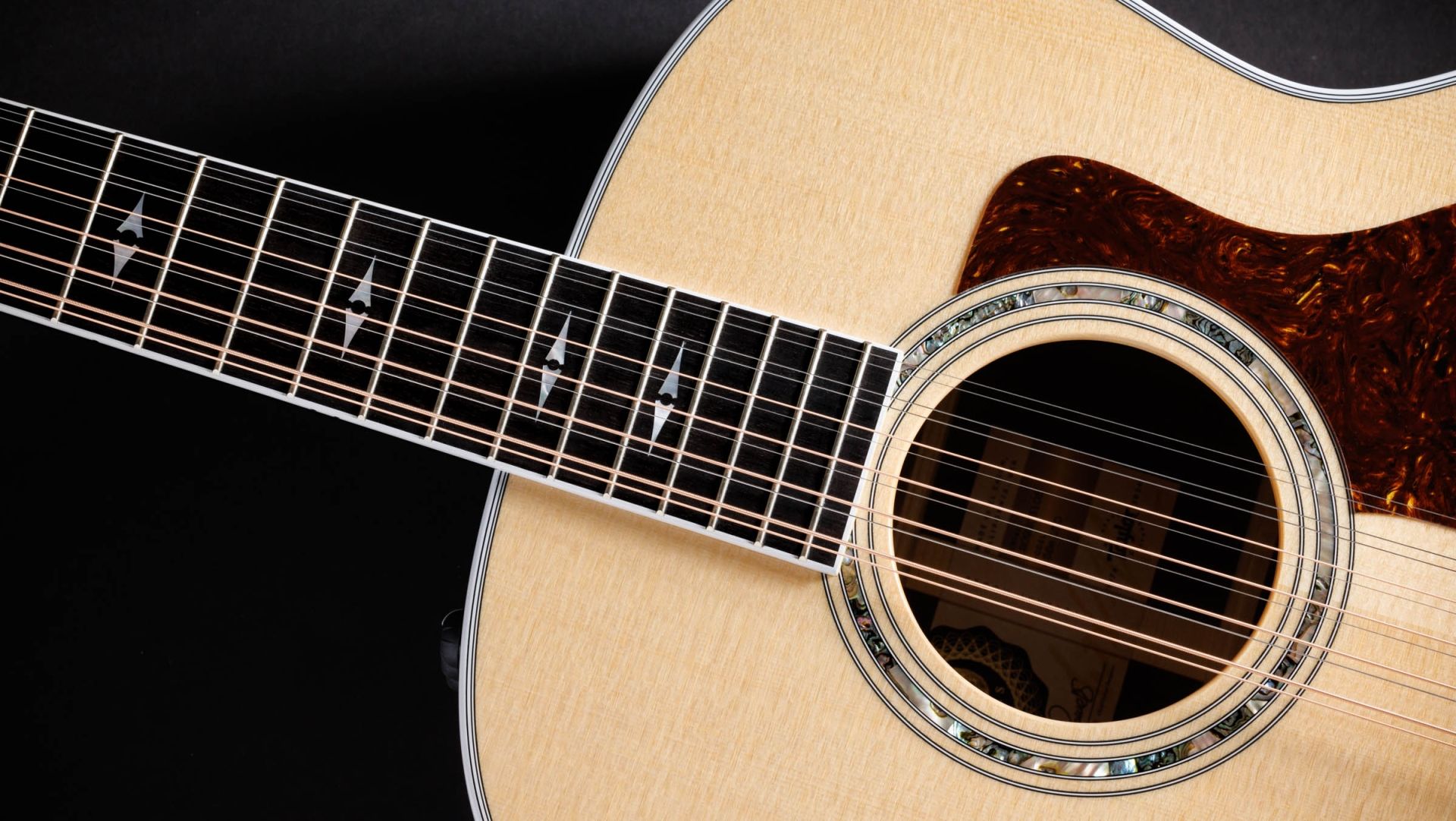 安いそれに目立つ 50th Anniversary 858e LTD Indian Rosewood Acoustic-Electric 邦楽
