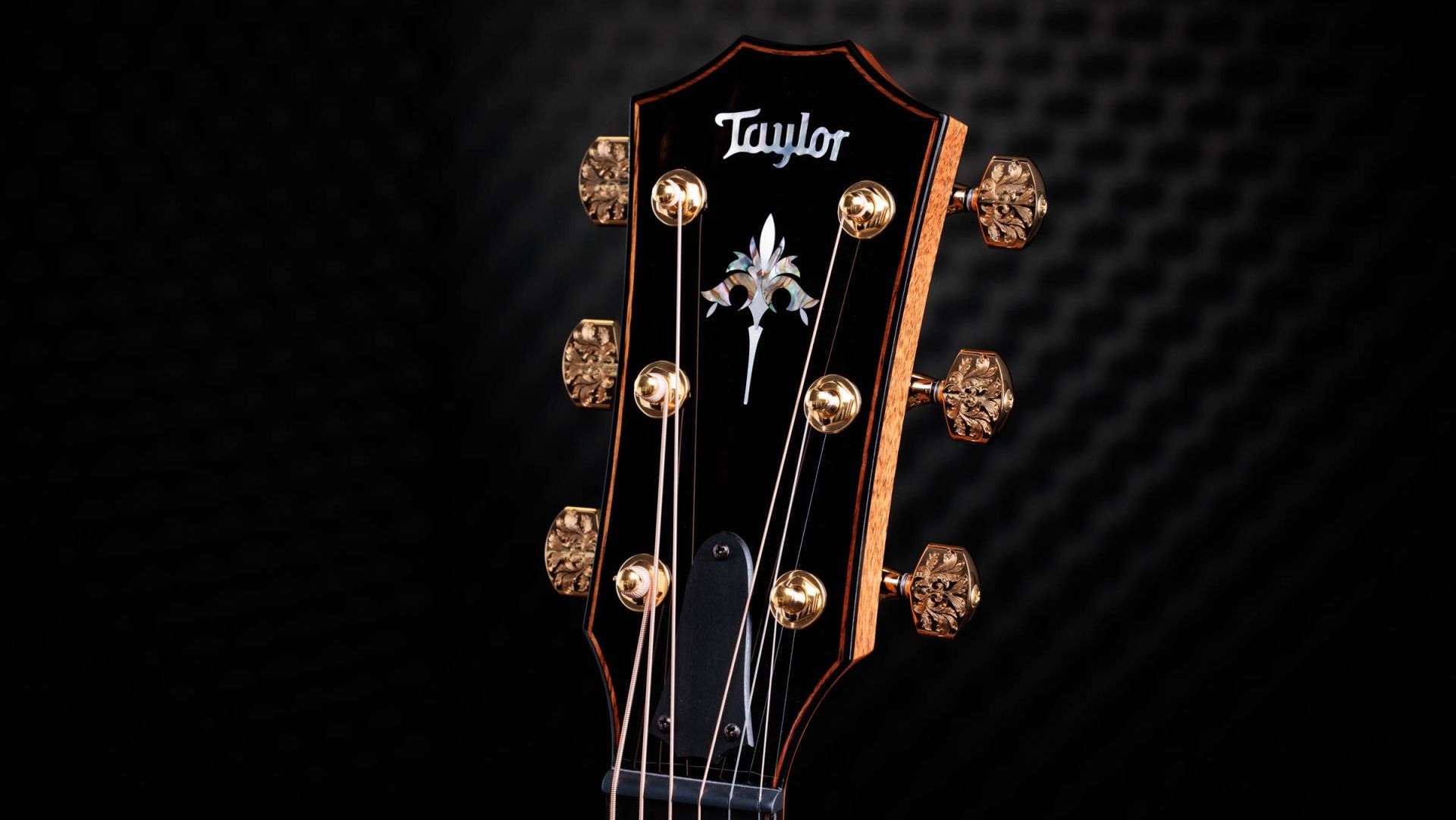 TAYLOR NS24e|ドルフィンギターズ