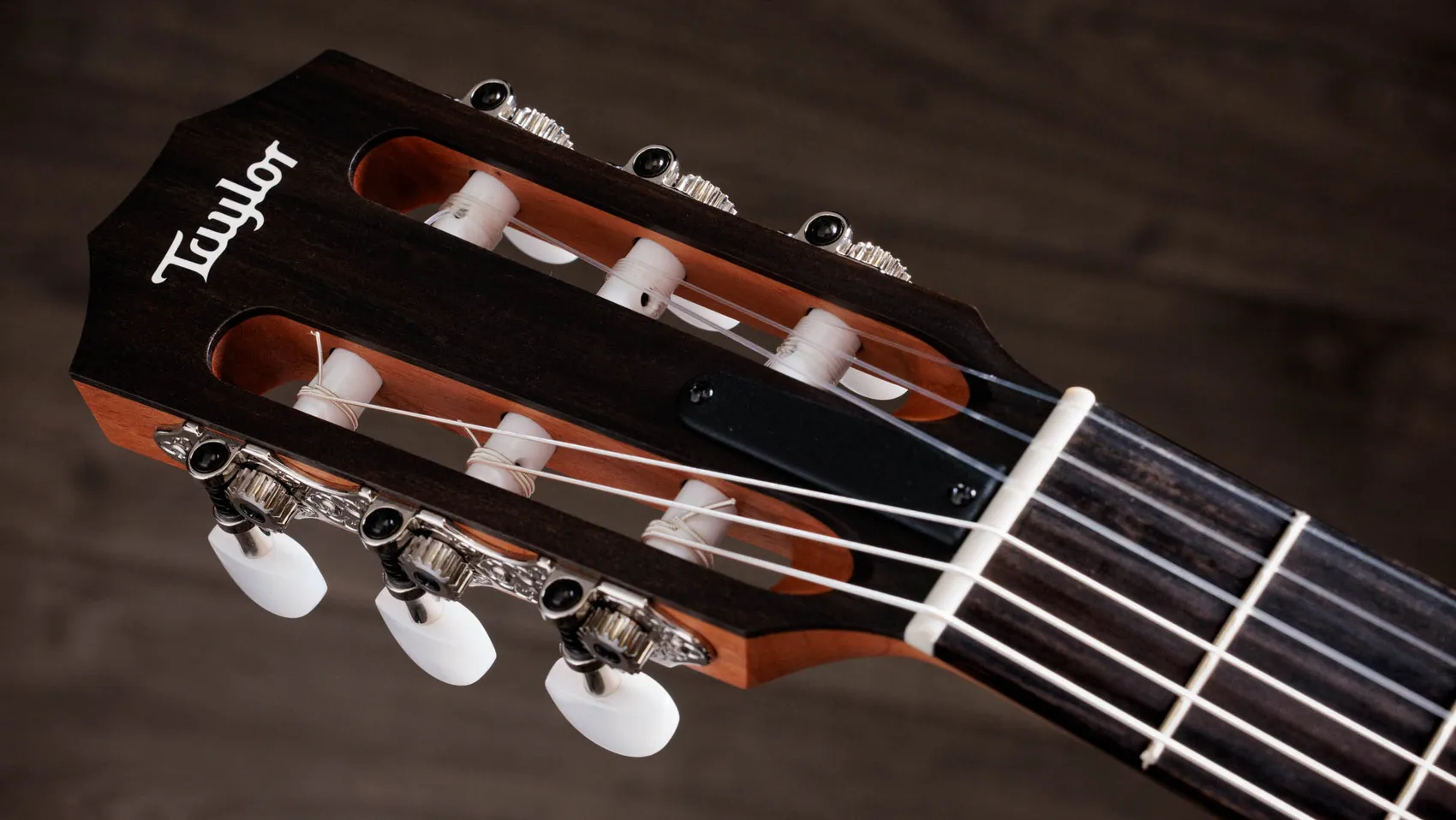 112ce-N Layered Sapele Acoustic-Electric Guitar | Taylor Guitars