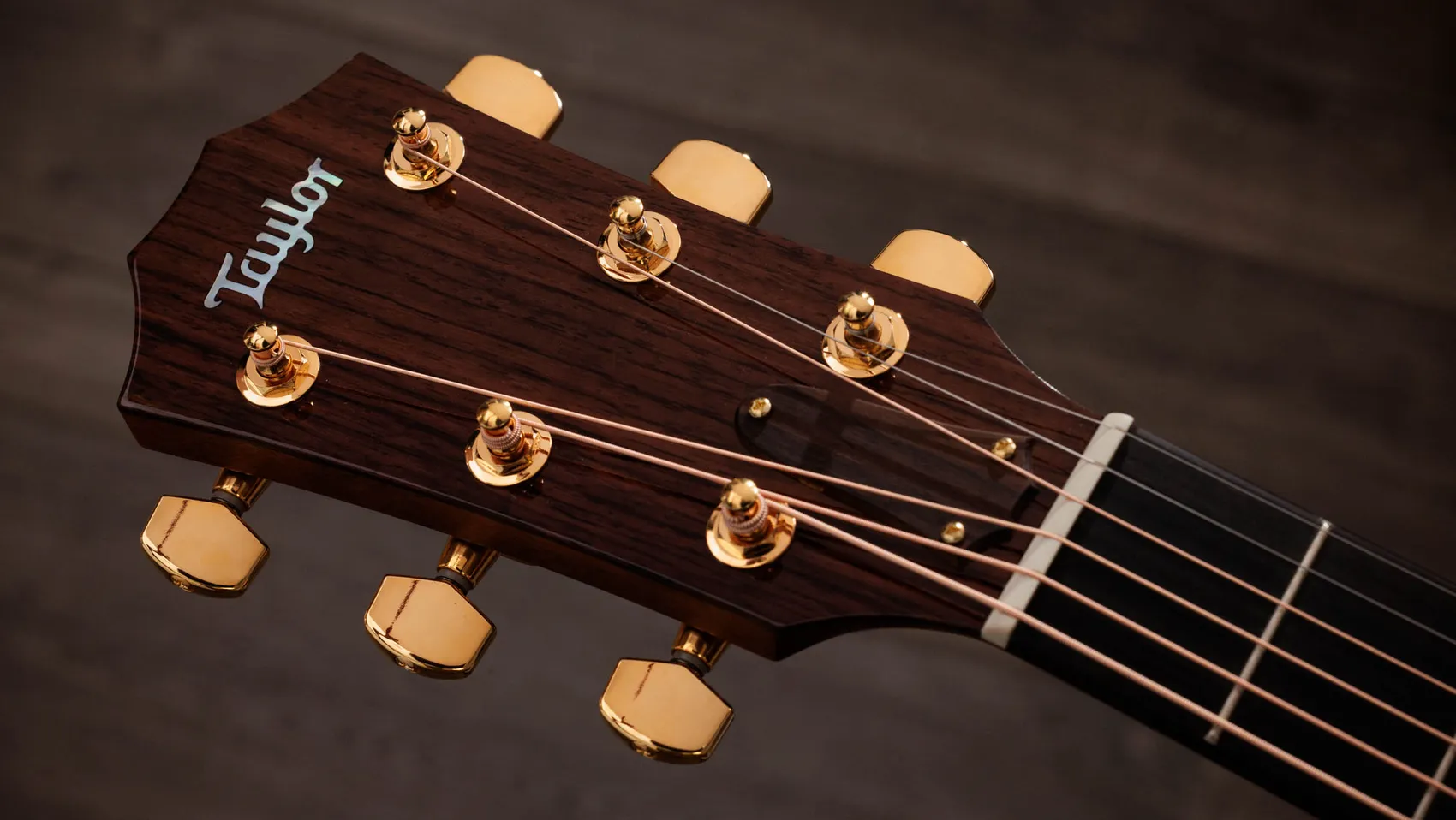 Legacy 514ce Mahogany Acoustic Guitar | Taylor Guitars