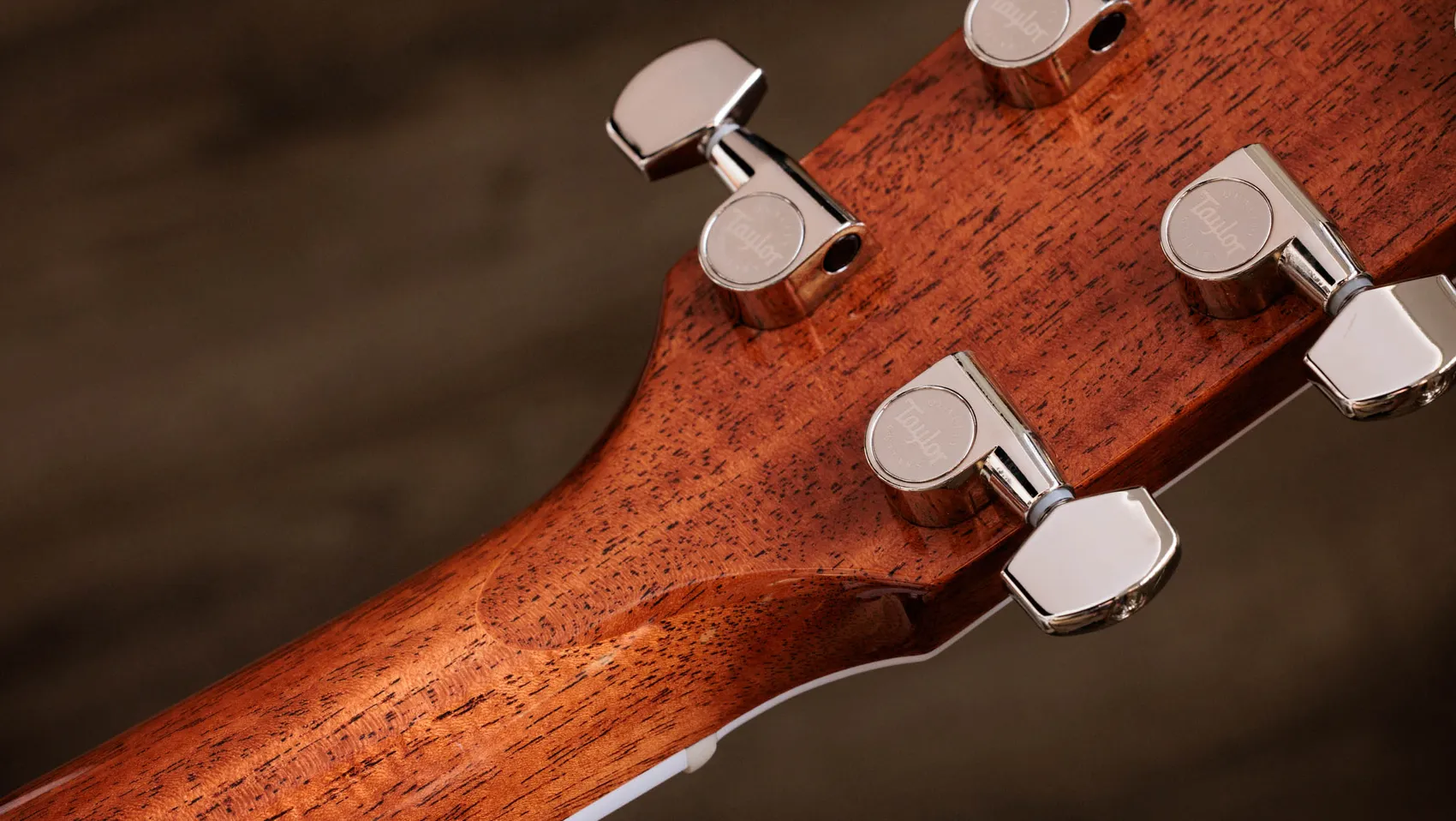 Taylor810 アコースティックギター Legacy 810e Indian Rosewood Acoustic Guitar | Taylor Guitars