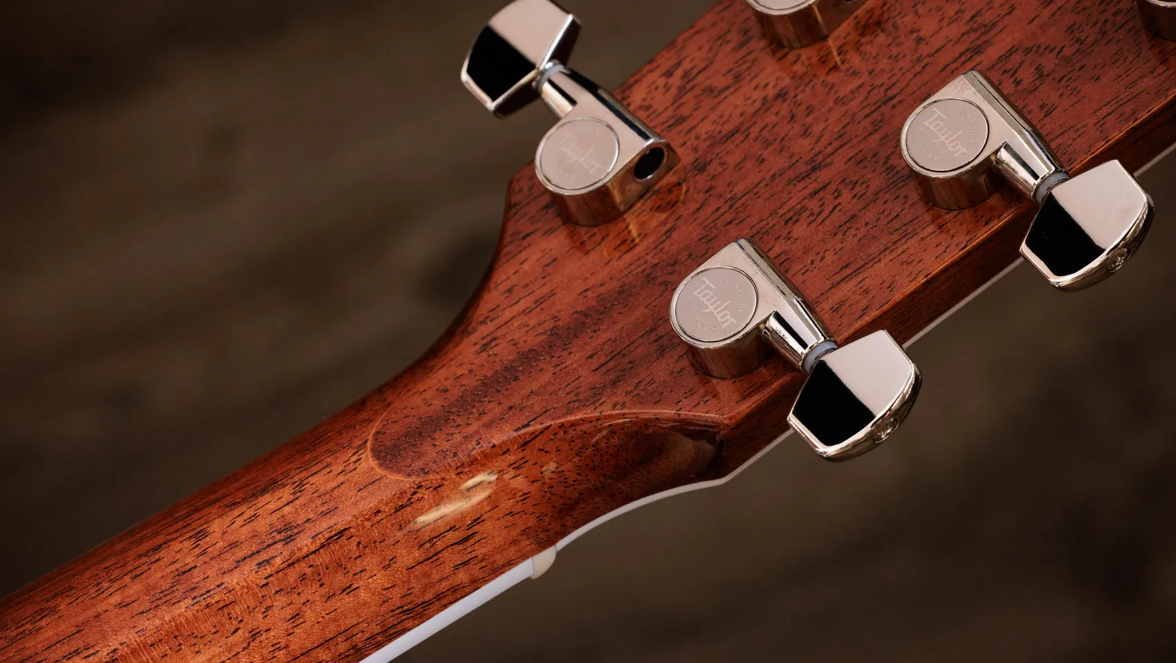TAYLOR GUITARS 30th 記念本 TAYLOR GUITARS 30th 記念本【公式オンラインショップ】