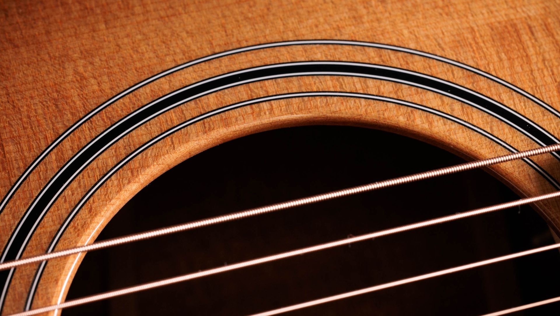 Taylor-314ce-Studio-Special- Taylor-314ce-Studio-Special-