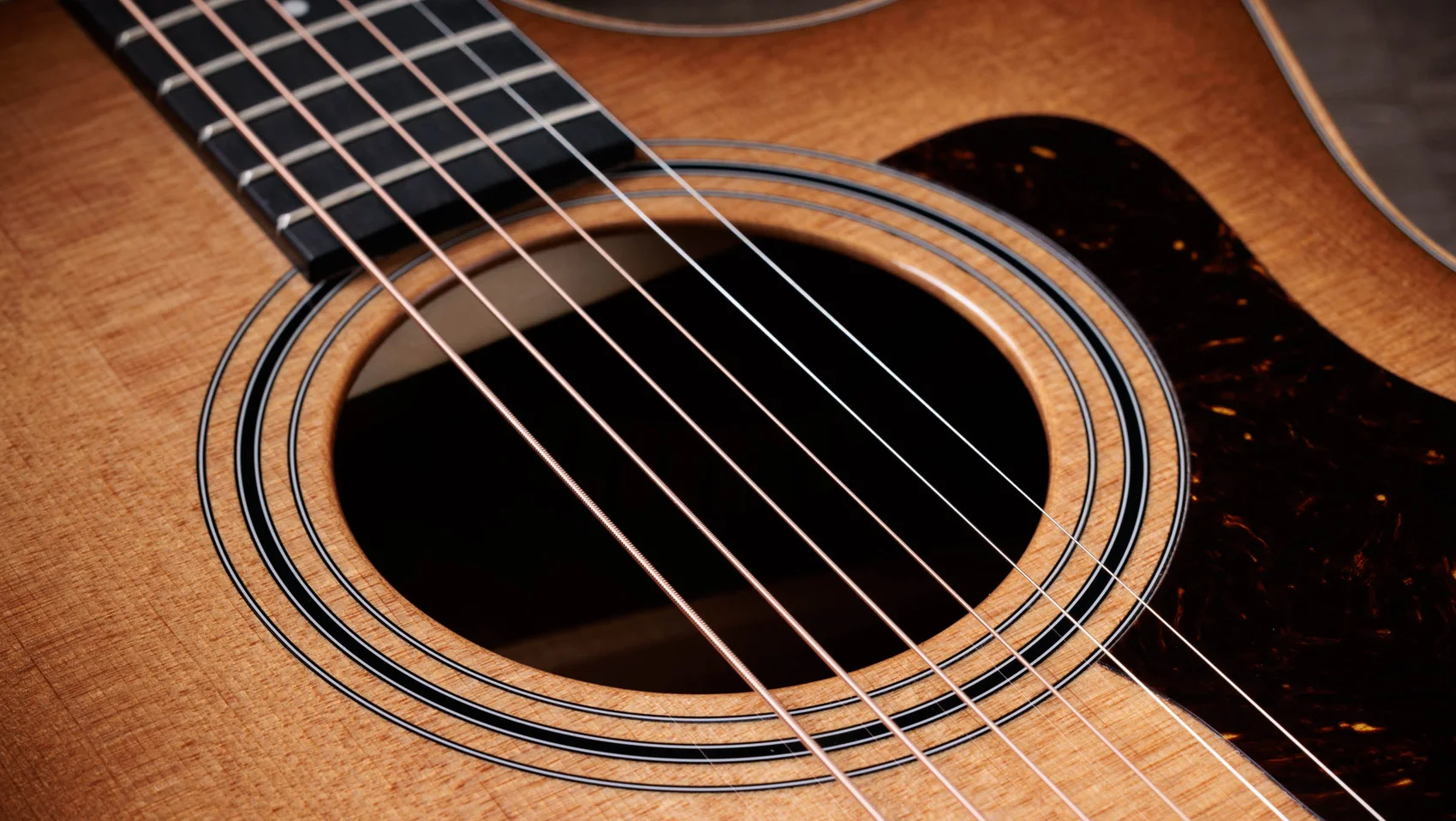 314ce Studio SEB Sapele Acoustic-Electric Guitar | Taylor Guitars