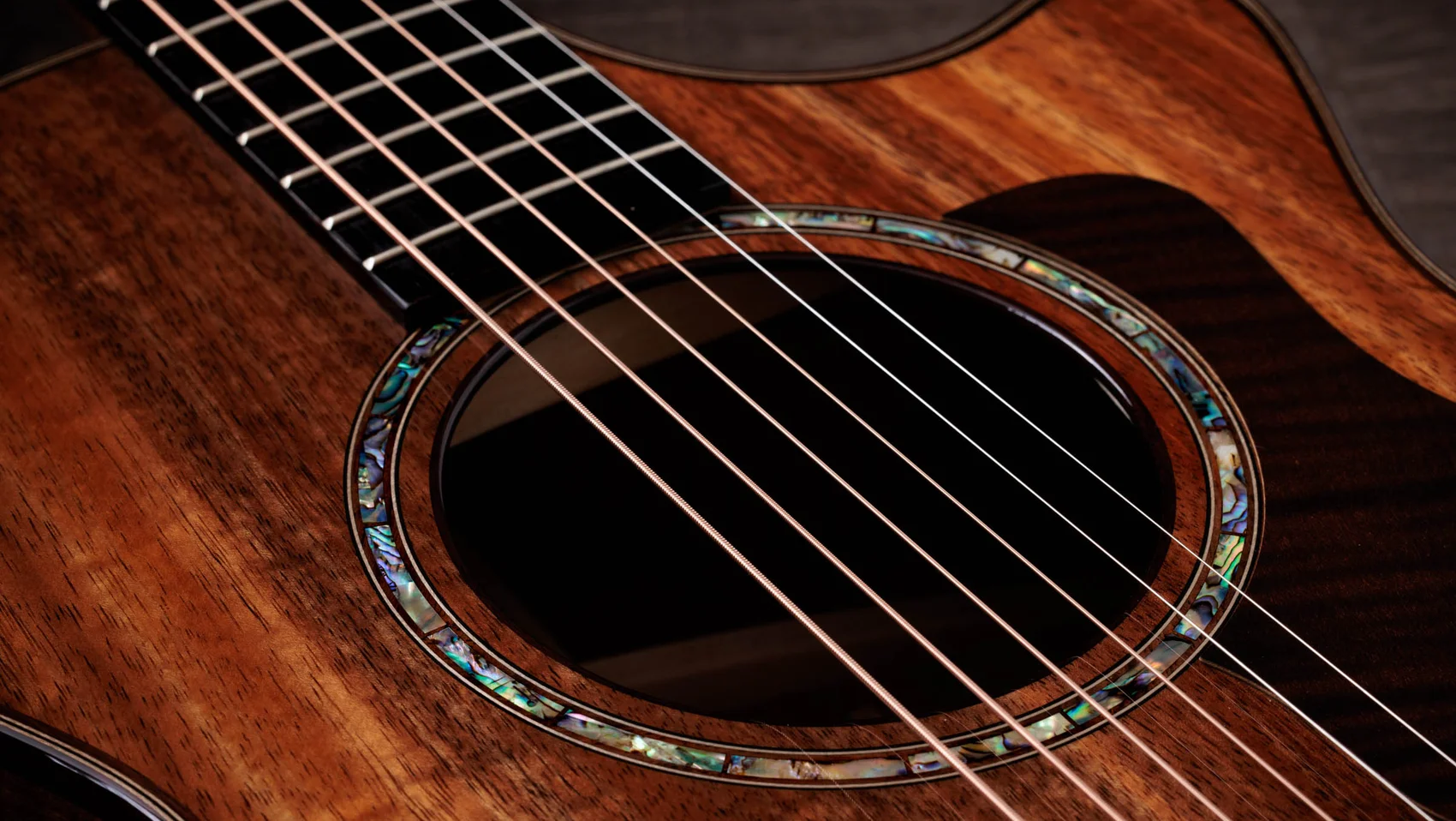 アコースティックギター　Taylor シリーズ別のアコースティックギターTaylor Guitars