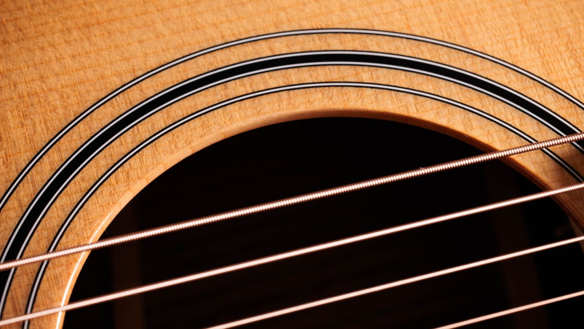 Taylor-414ce-Studio-Special-