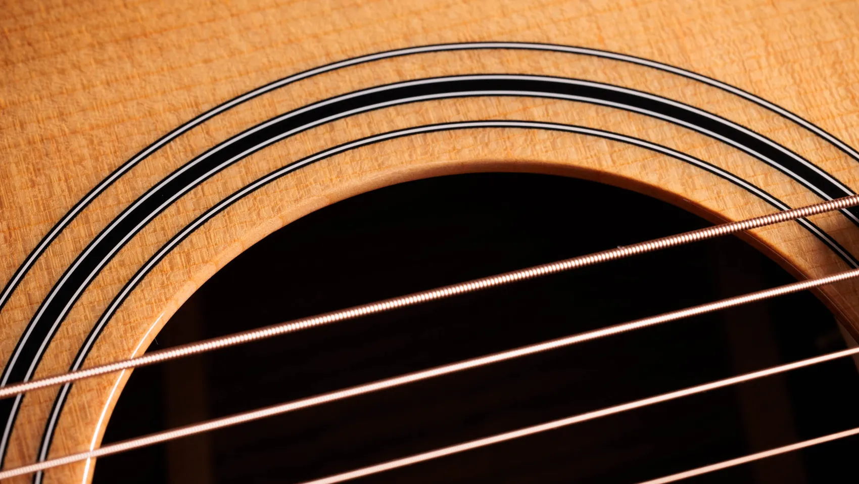 414ce Studio Indian Rosewood Acoustic-Electric Guitar | Taylor Guitars