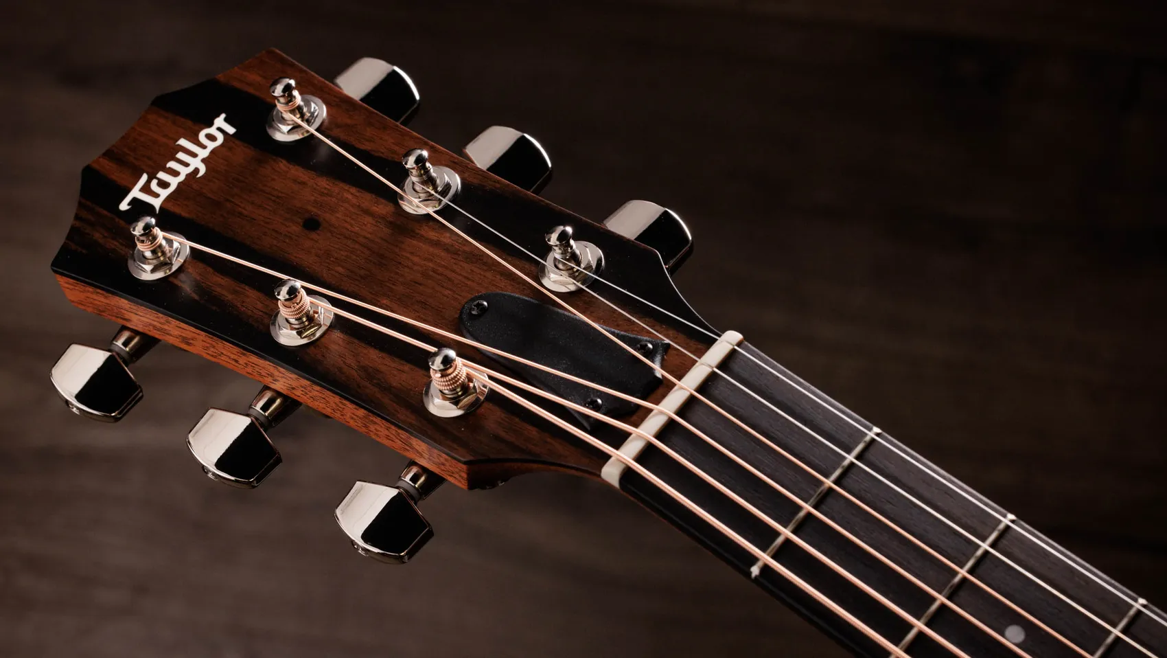 414ce Studio Indian Rosewood Acoustic-Electric Guitar | Taylor Guitars