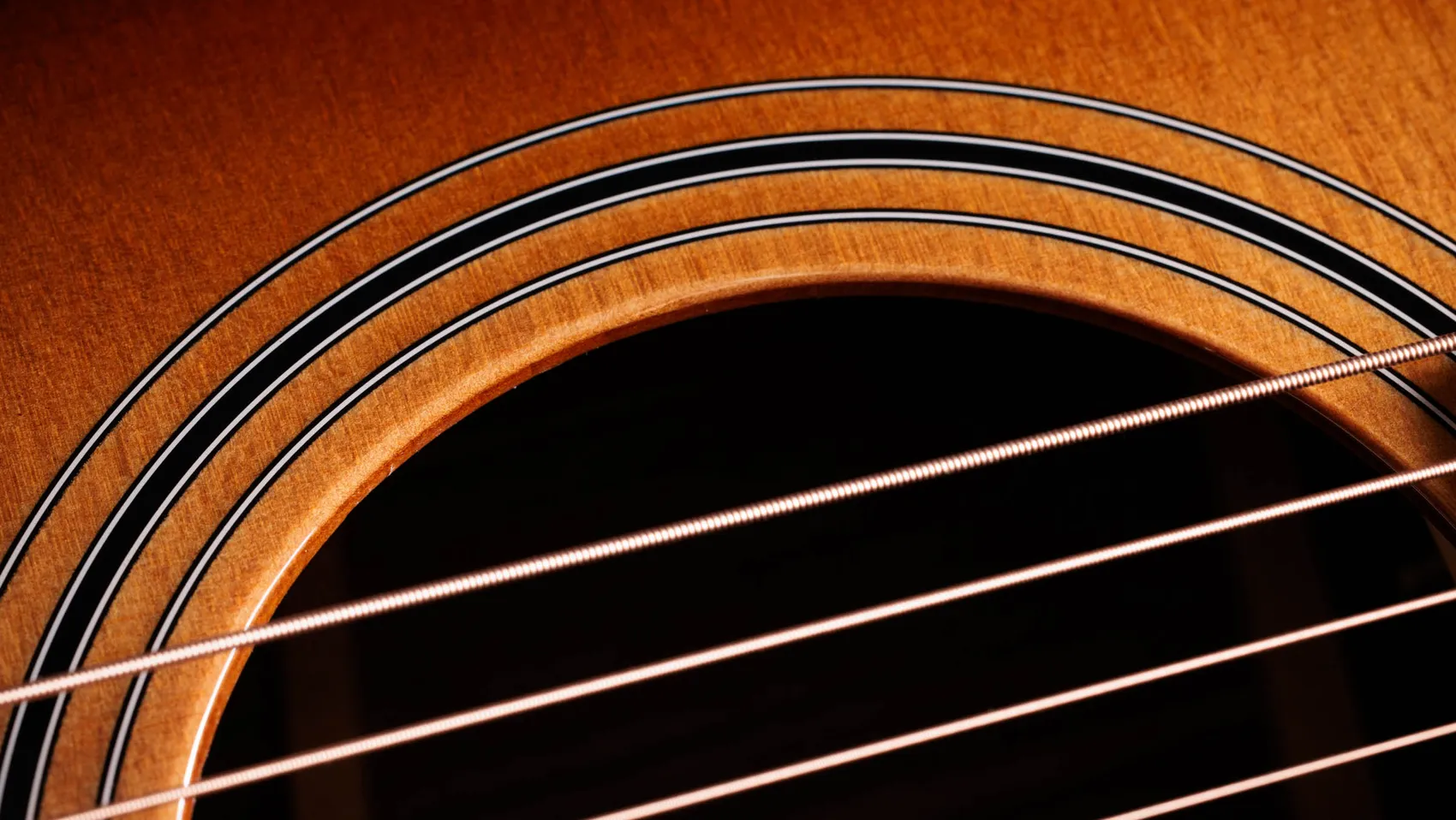 414ce Studio SEB Indian Rosewood Acoustic-Electric Guitar | Taylor