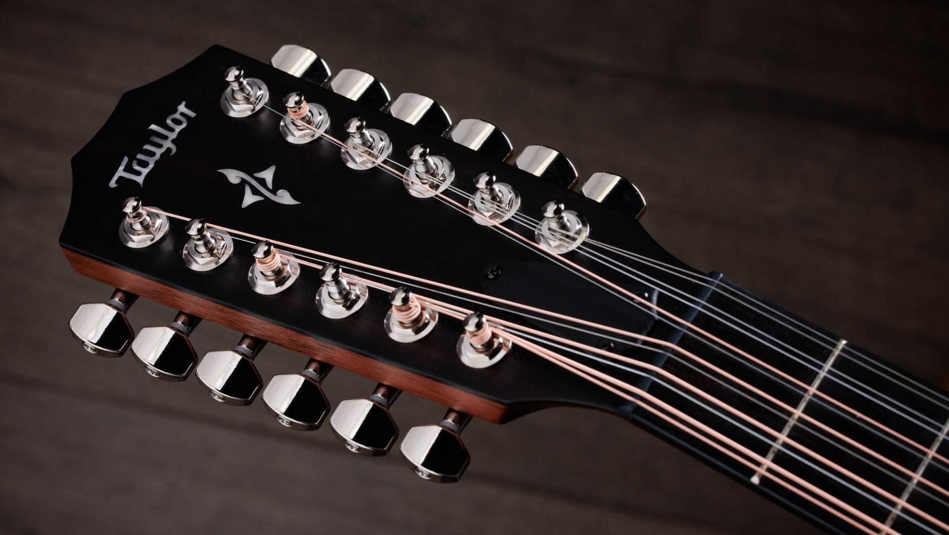 454ce Indian Rosewood Acoustic-Electric Guitar | Taylor Guitars