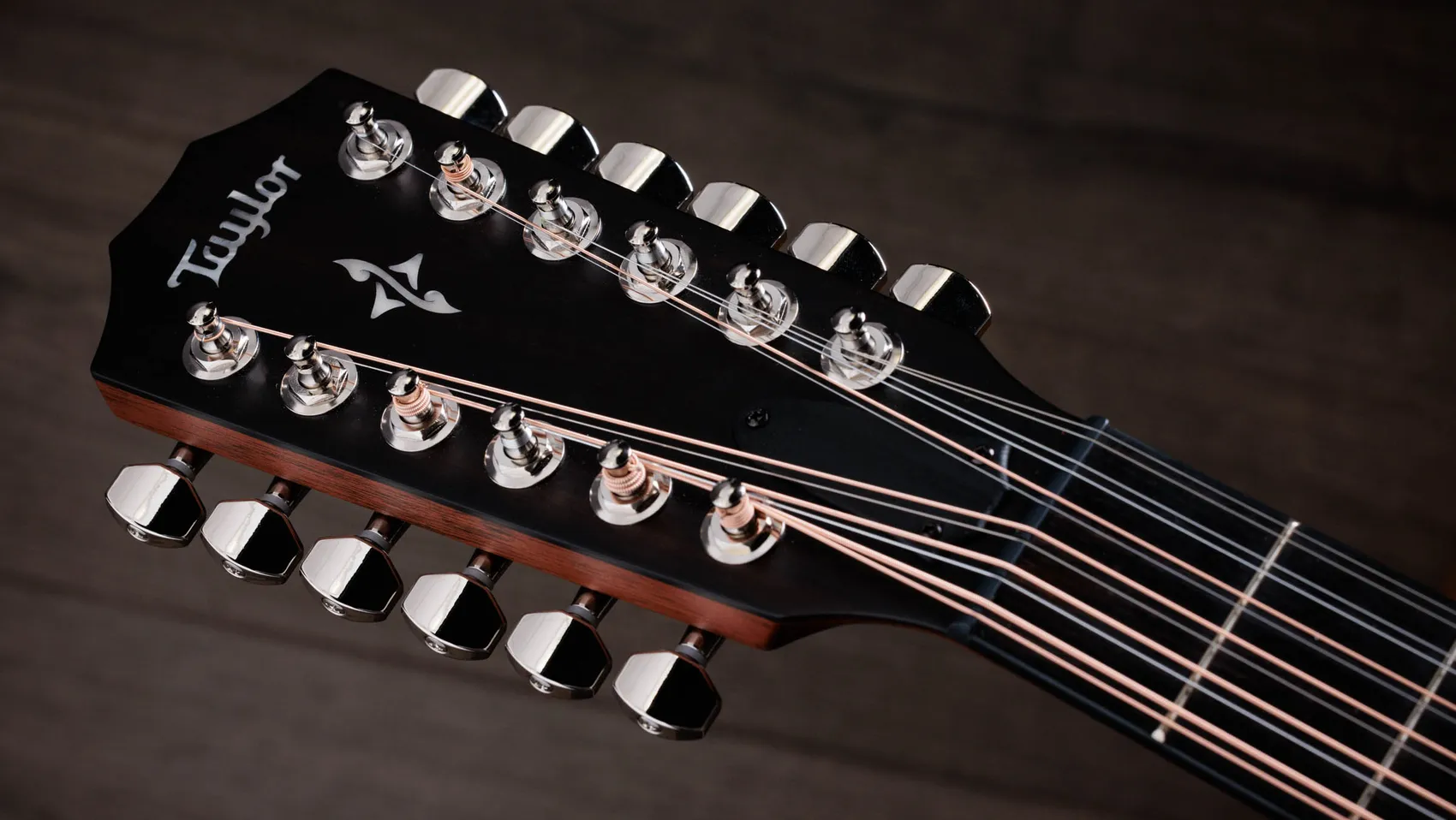 454ce SB Indian Rosewood Acoustic-Electric Guitar | Taylor Guitars