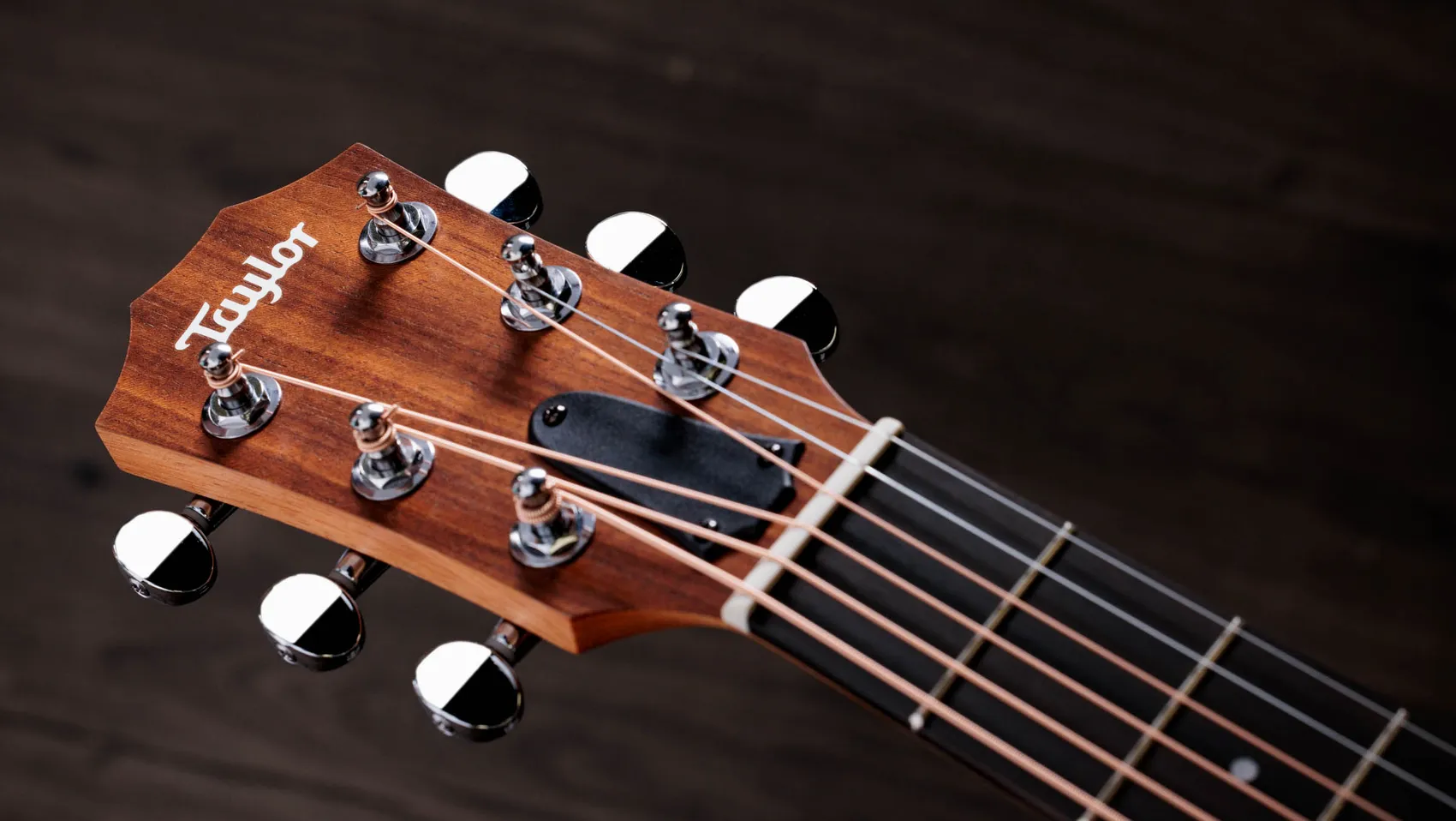 GS Mini Layered Sapele Acoustic Guitar (2024) | Taylor Guitars