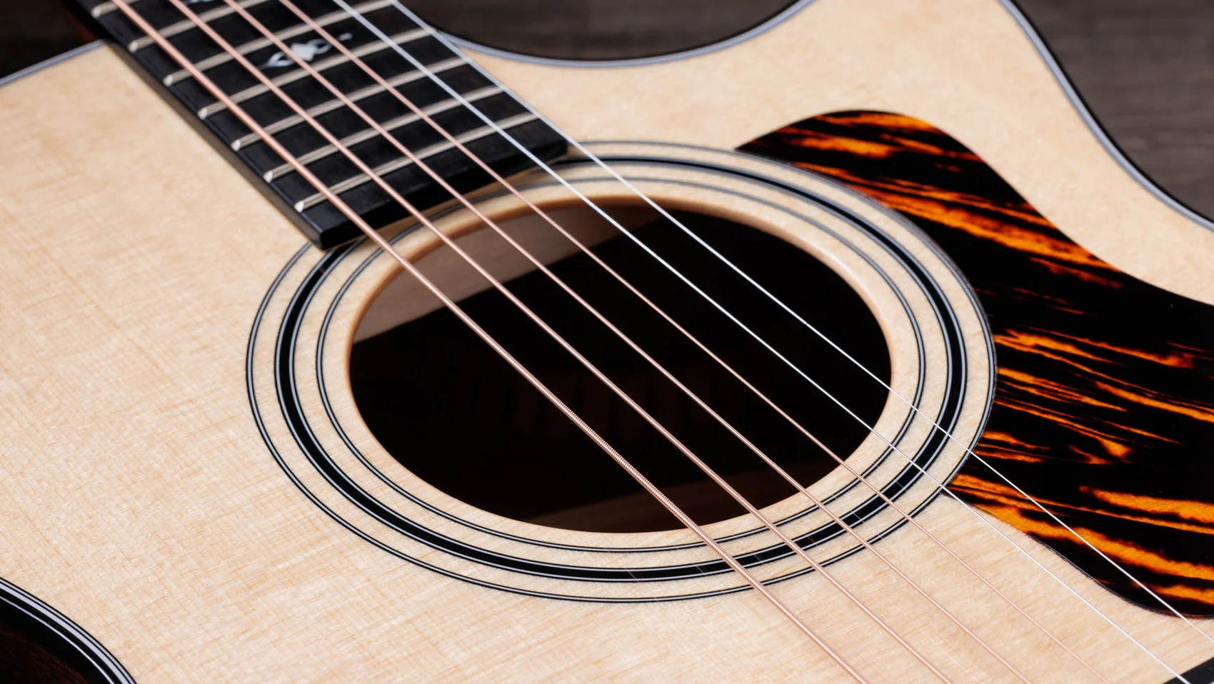 314ce Sapele Acoustic-Electric Guitar | Taylor Guitars