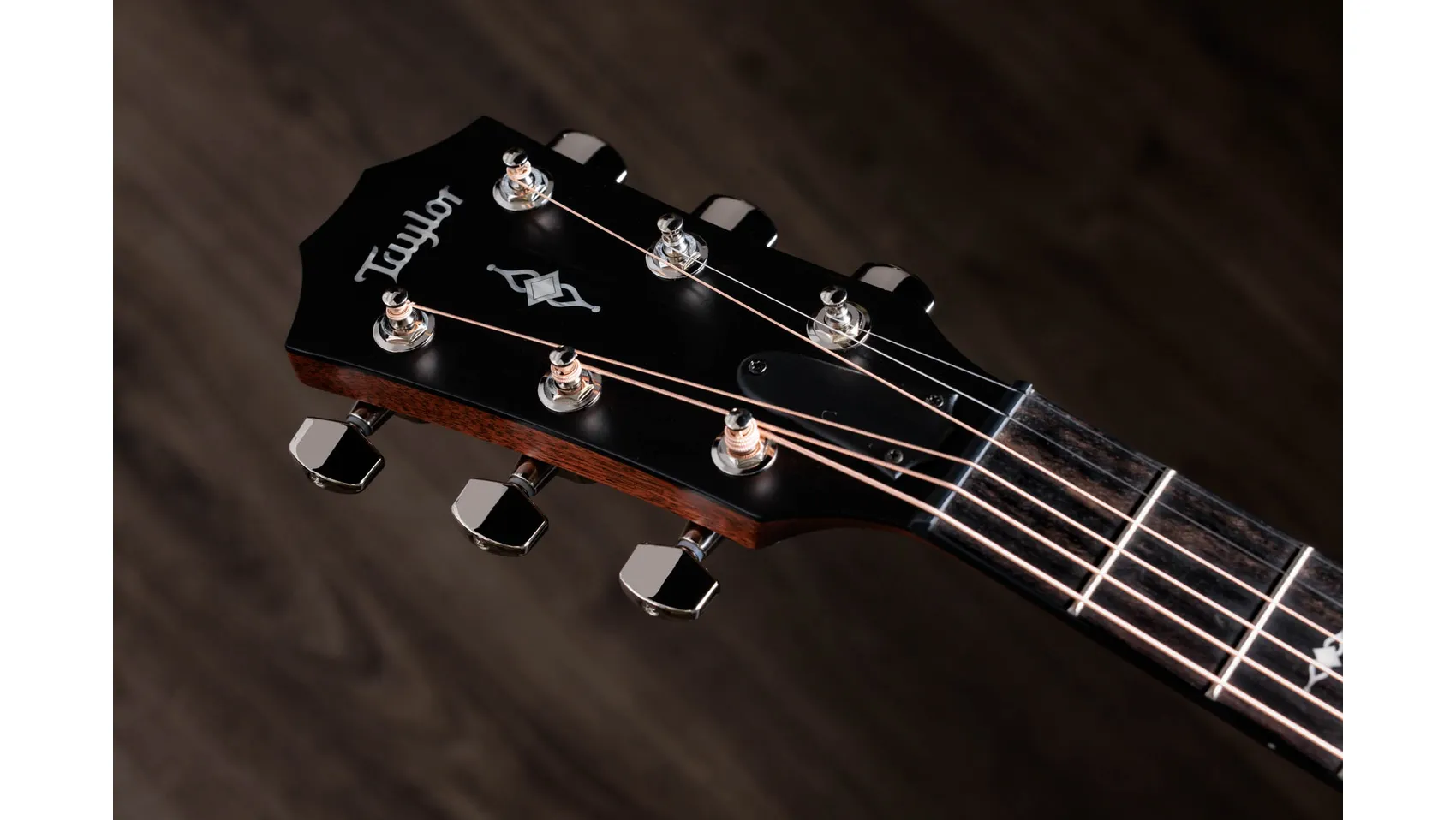 314ce Sapele Acoustic-Electric Guitar (2025) | Taylor Guitars