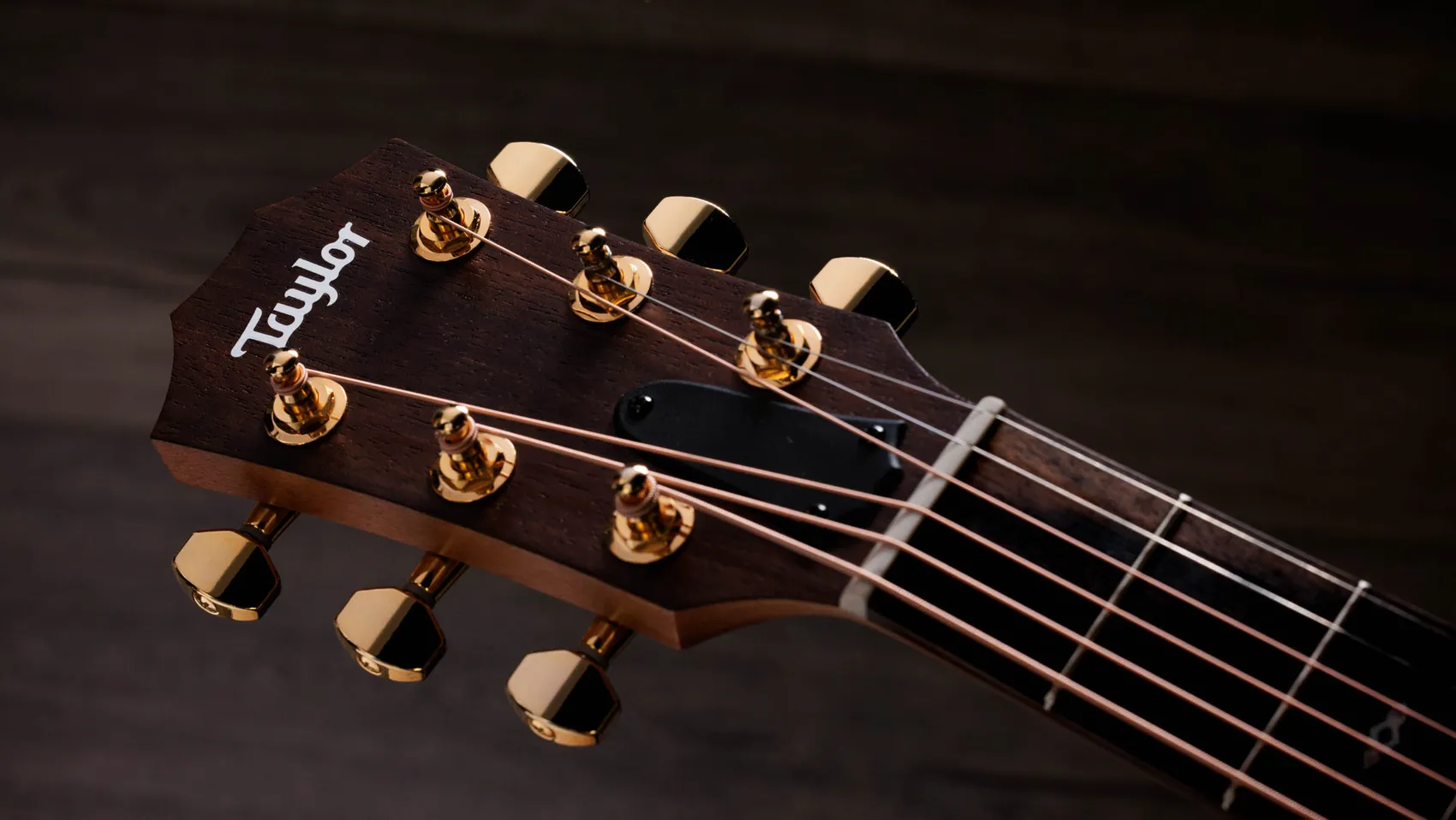 Sunset Blvd GS Mini-e Rosewood SEB Indian Rosewood Acoustic