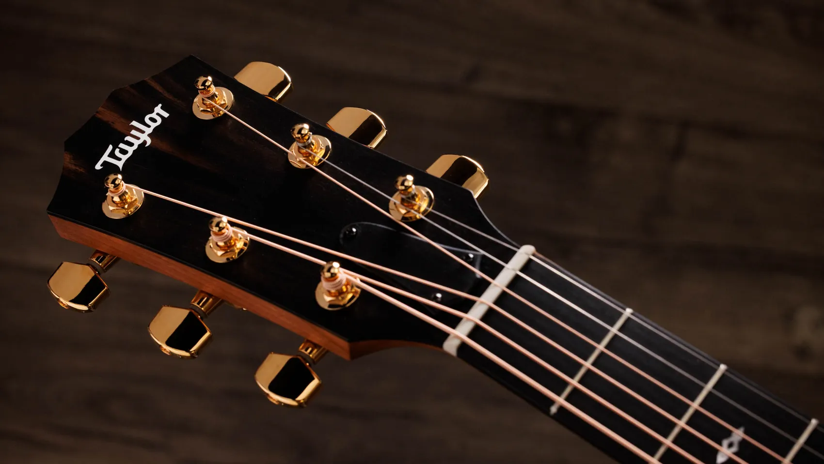 Sunset Blvd 114ce SEB Sapele Acoustic-Electric Guitar | Taylor Guitars