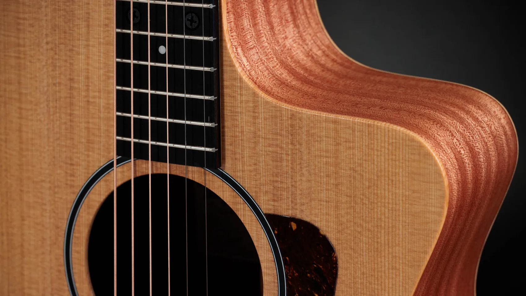 14ce Sapele Acoustic-Electric Guitar | Taylor Guitars