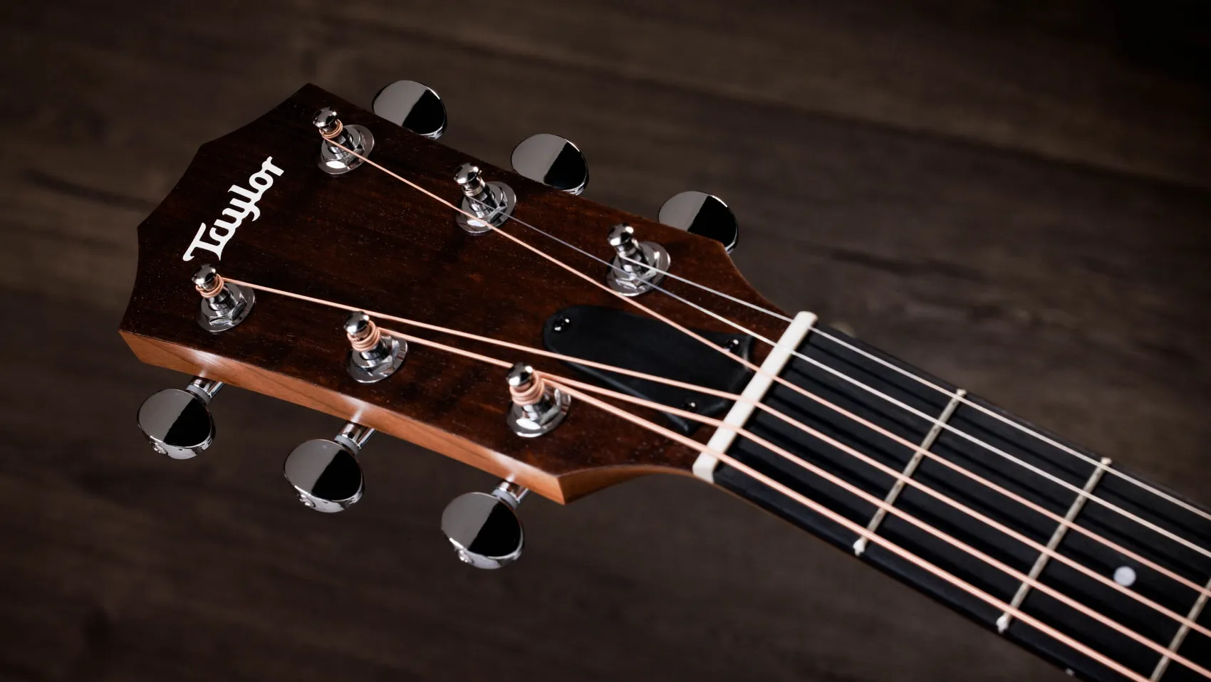 14ce Sapele Acoustic-Electric Guitar | Taylor Guitars