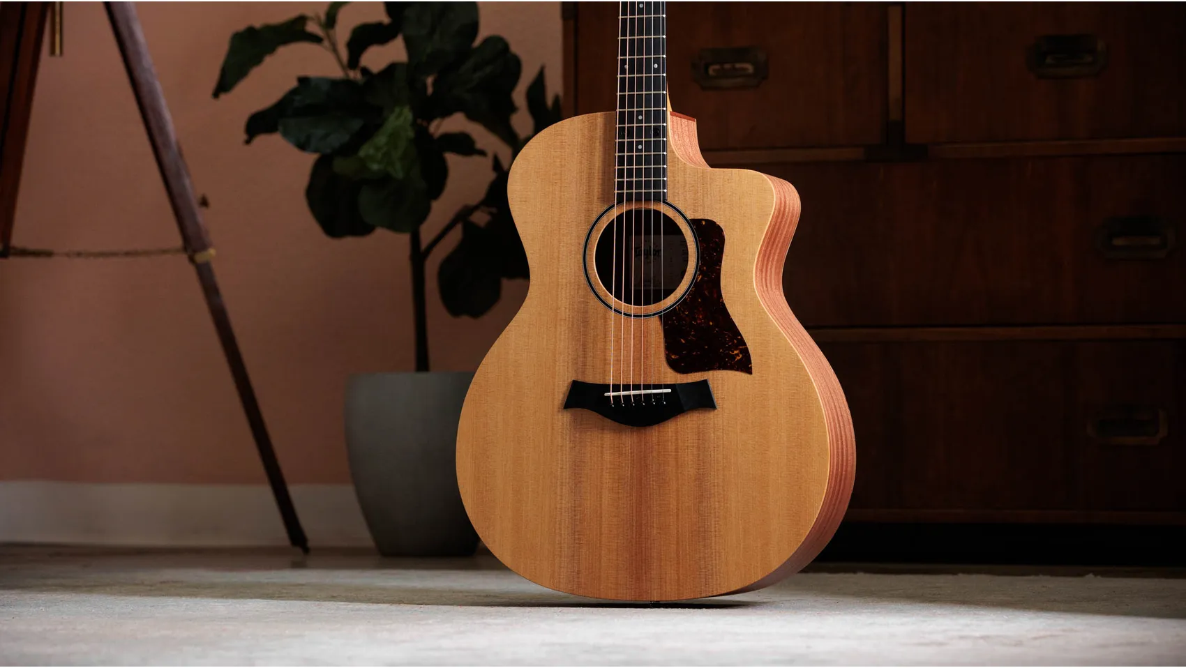 14ce Sapele Acoustic-Electric Guitar | Taylor Guitars