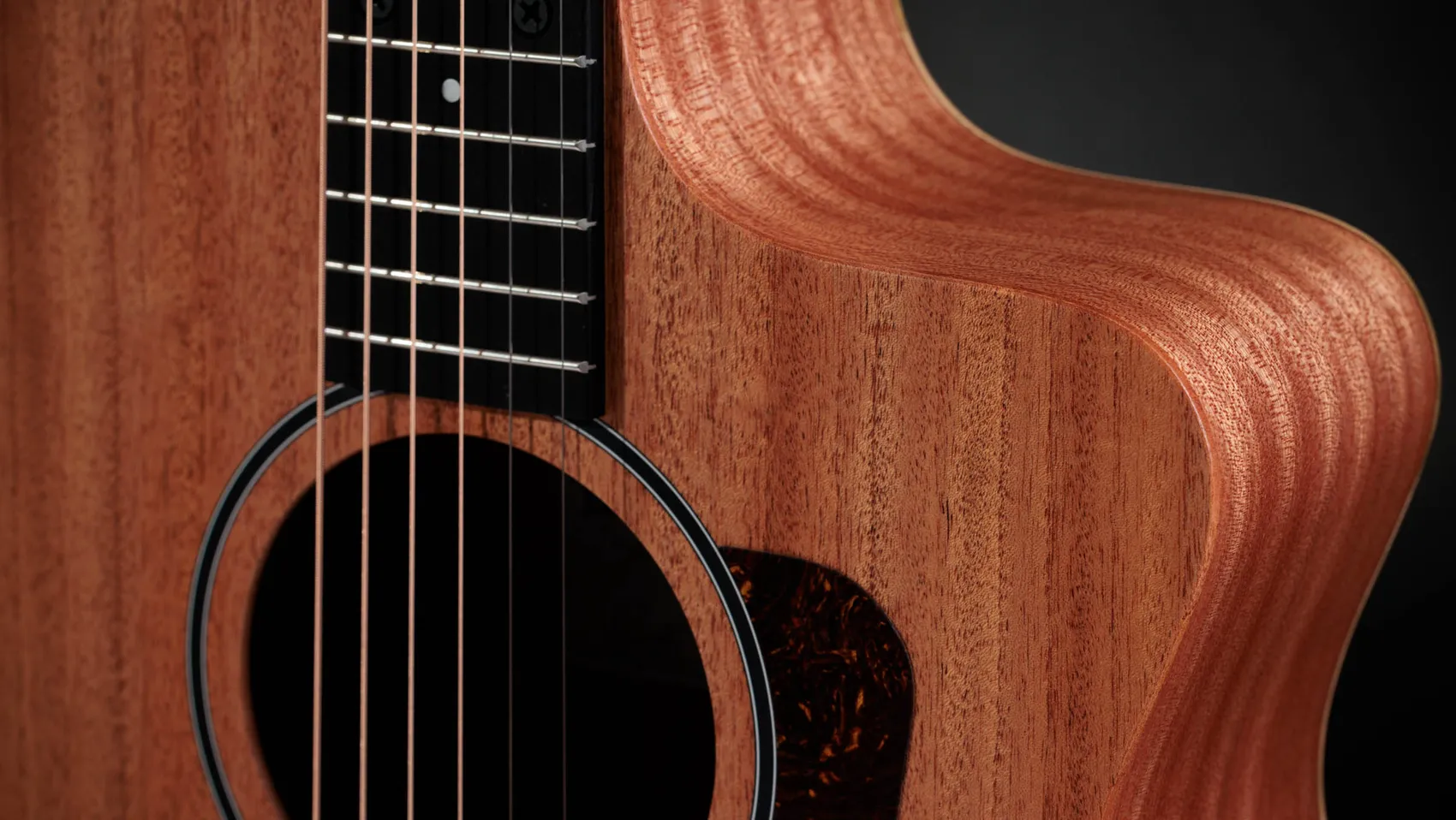 24ce Sapele Acoustic-Electric Guitar | Taylor Guitars