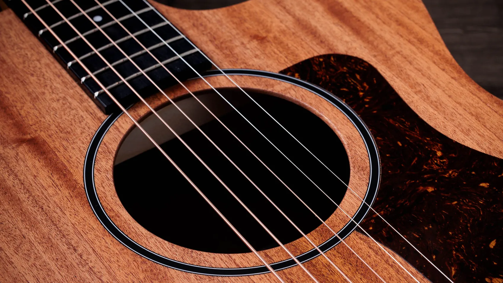 24ce Sapele Acoustic-Electric Guitar | Taylor Guitars