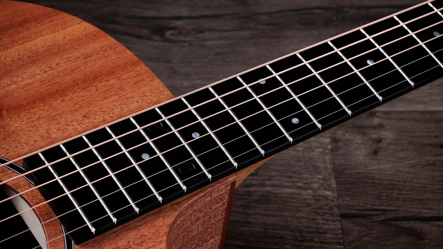 24ce Sapele Acoustic-Electric Guitar | Taylor Guitars
