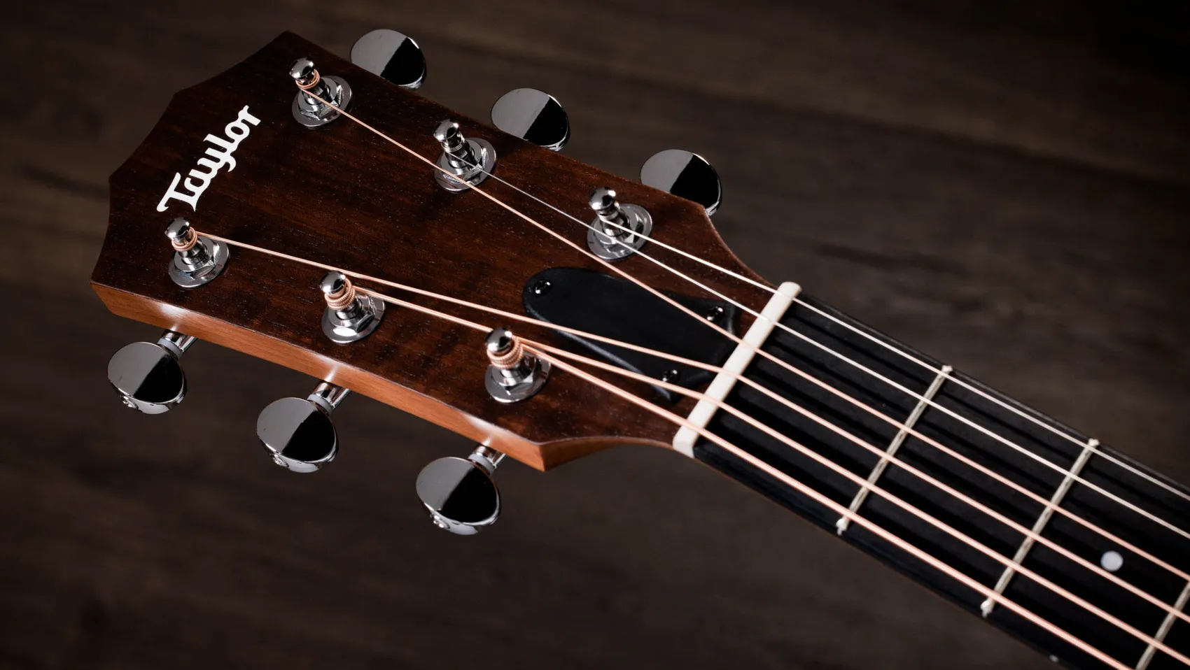 24ce Sapele Acoustic-Electric Guitar | Taylor Guitars