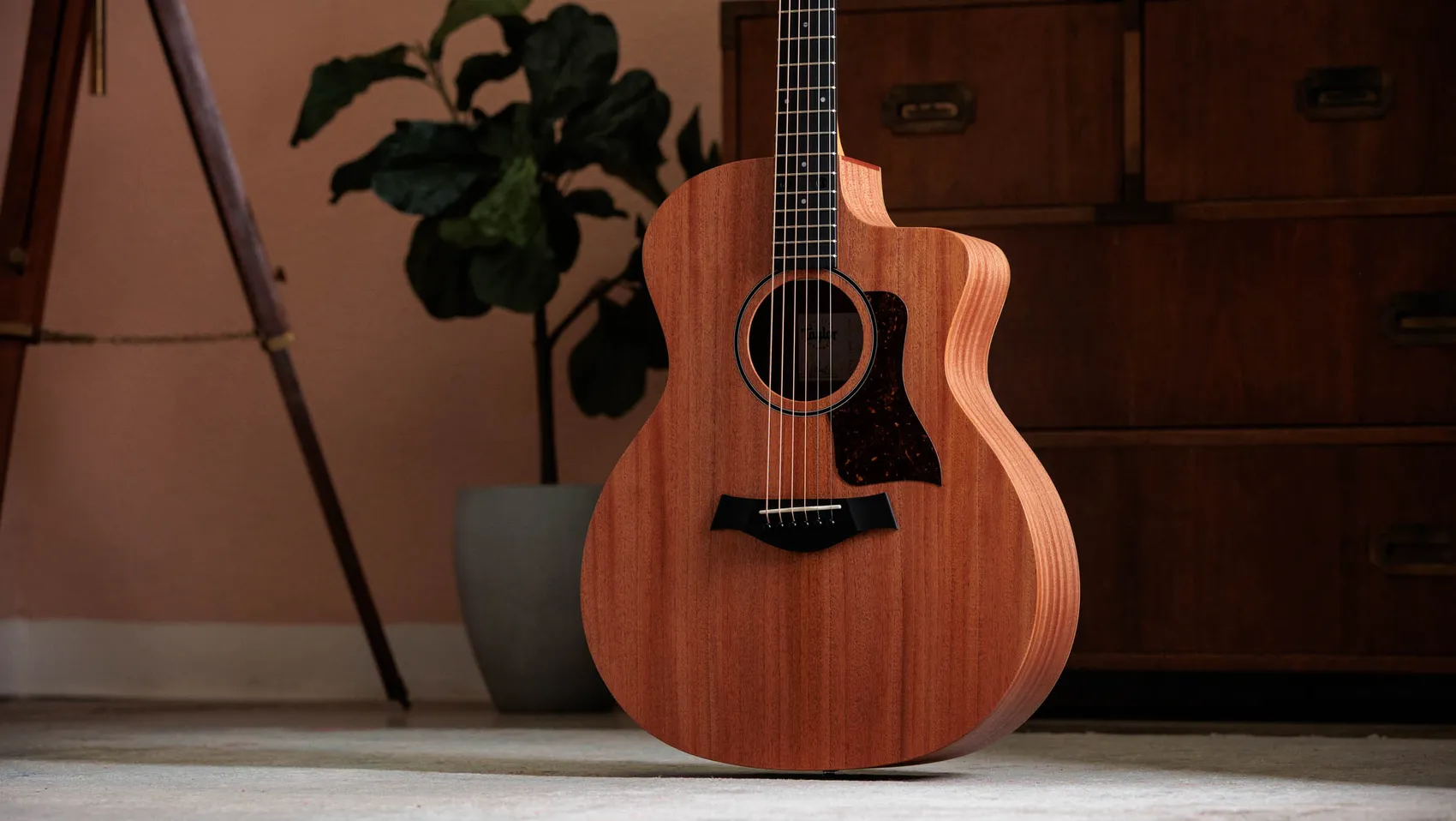 24ce Sapele Acoustic-Electric Guitar | Taylor Guitars