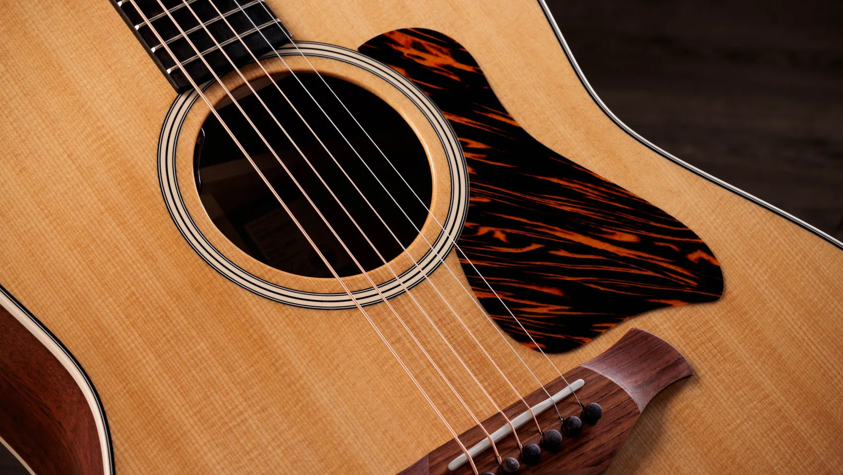 Gold Label 517e Mahogany Acoustic-Electric Guitar | Taylor Guitars