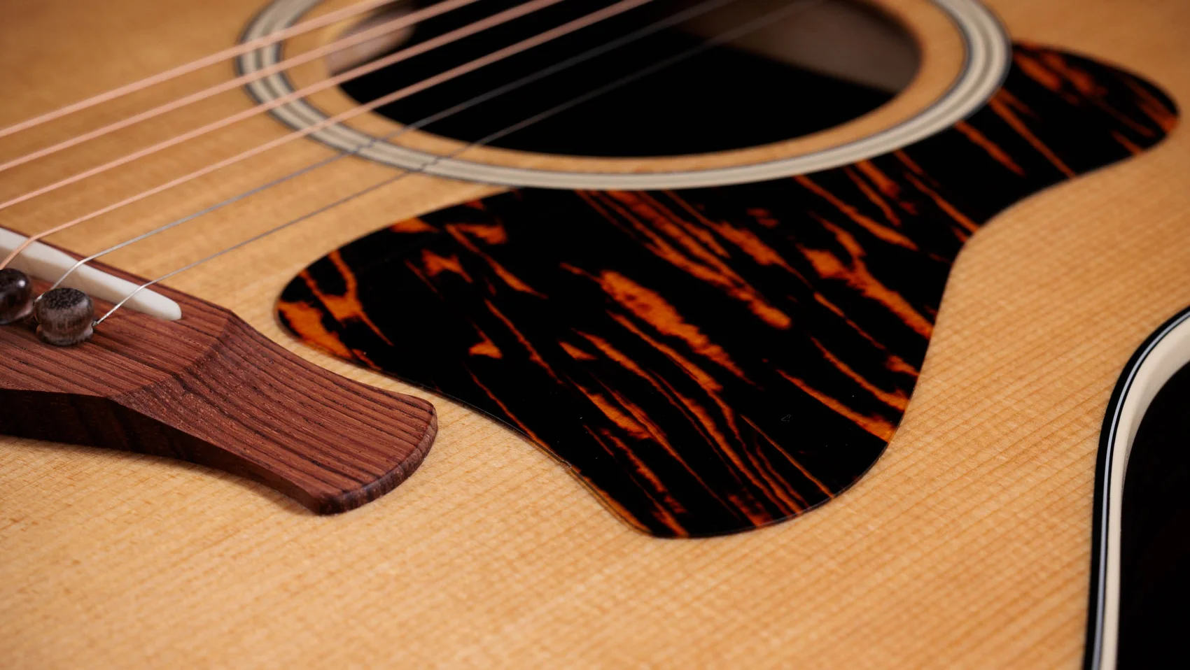 Gold Label 717e Indian Rosewood Acoustic-Electric Guitar | Taylor