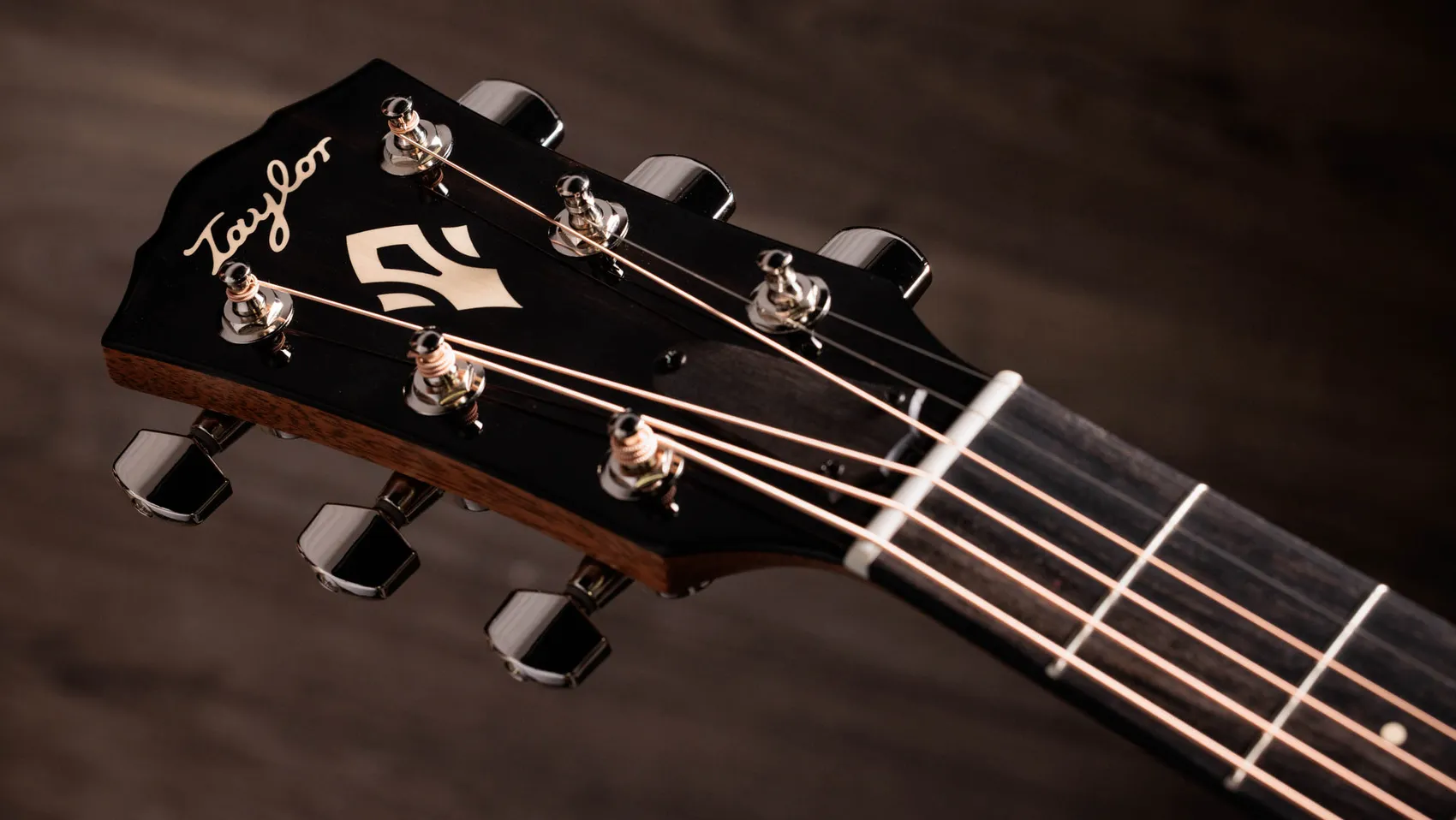 Taylor-Gold-Label-717e-