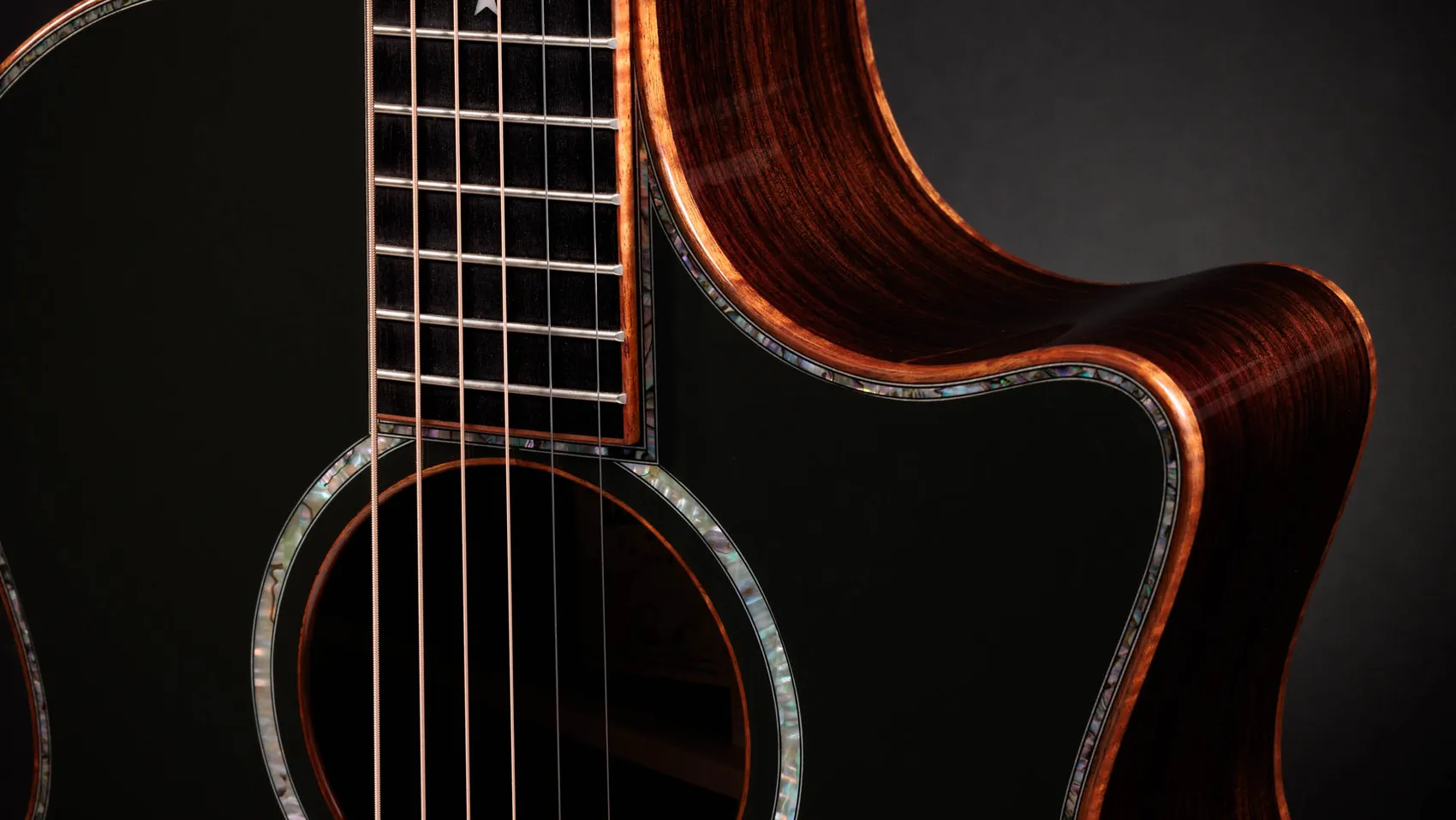 Taylor-Guitars-4-Vets-814ce-