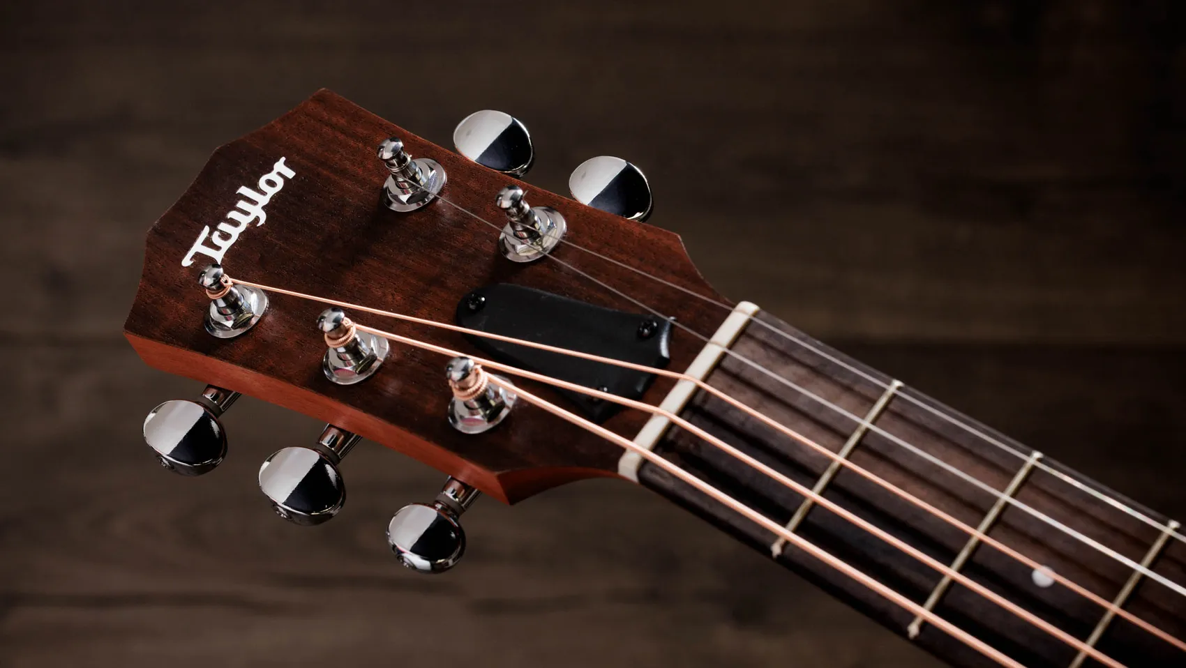 Jacob Collier GS Mini 5-String Layered Sapele Acoustic Guitar