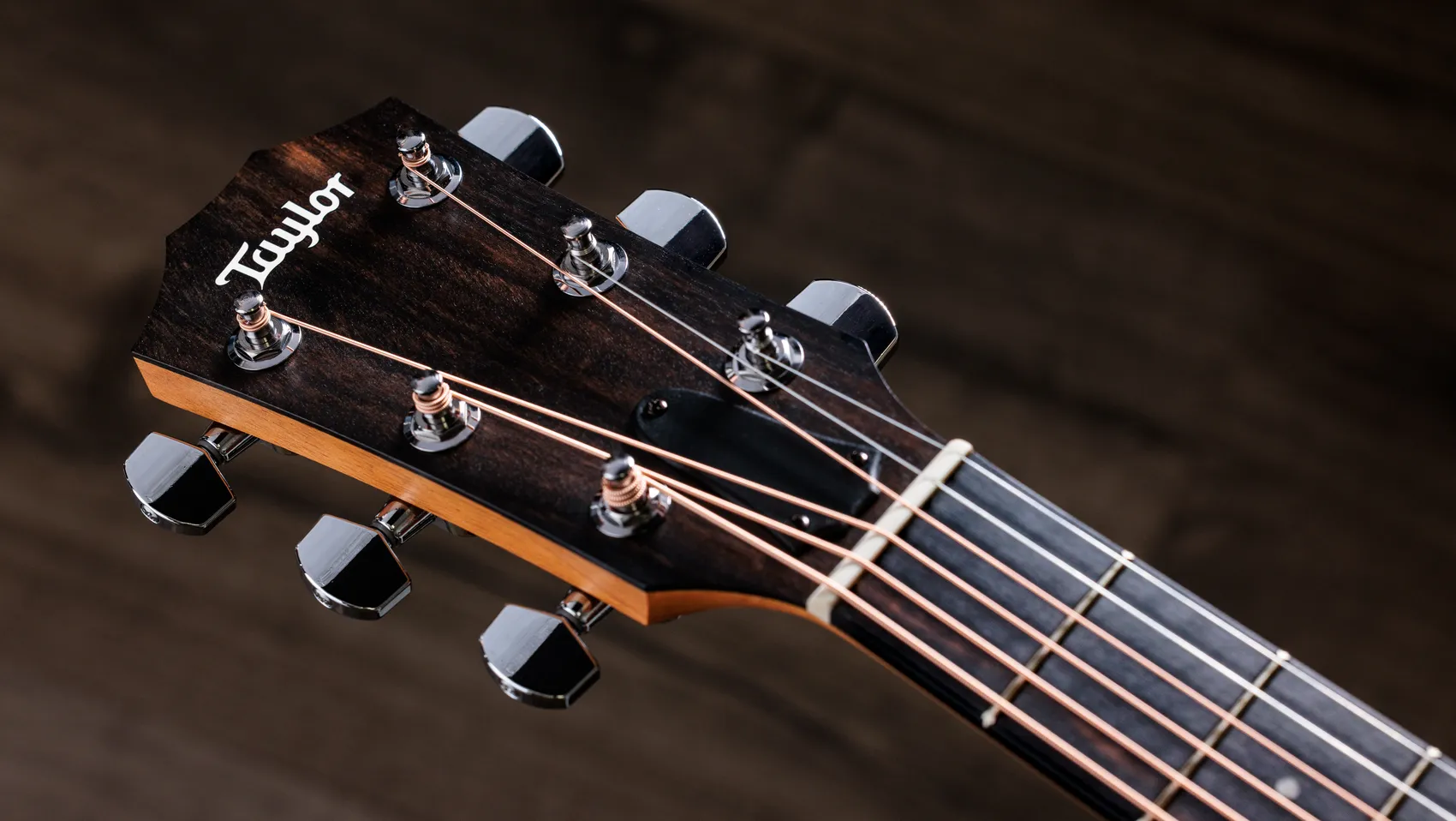 212ce Walnut Acoustic-Electric Guitar | Taylor Guitars