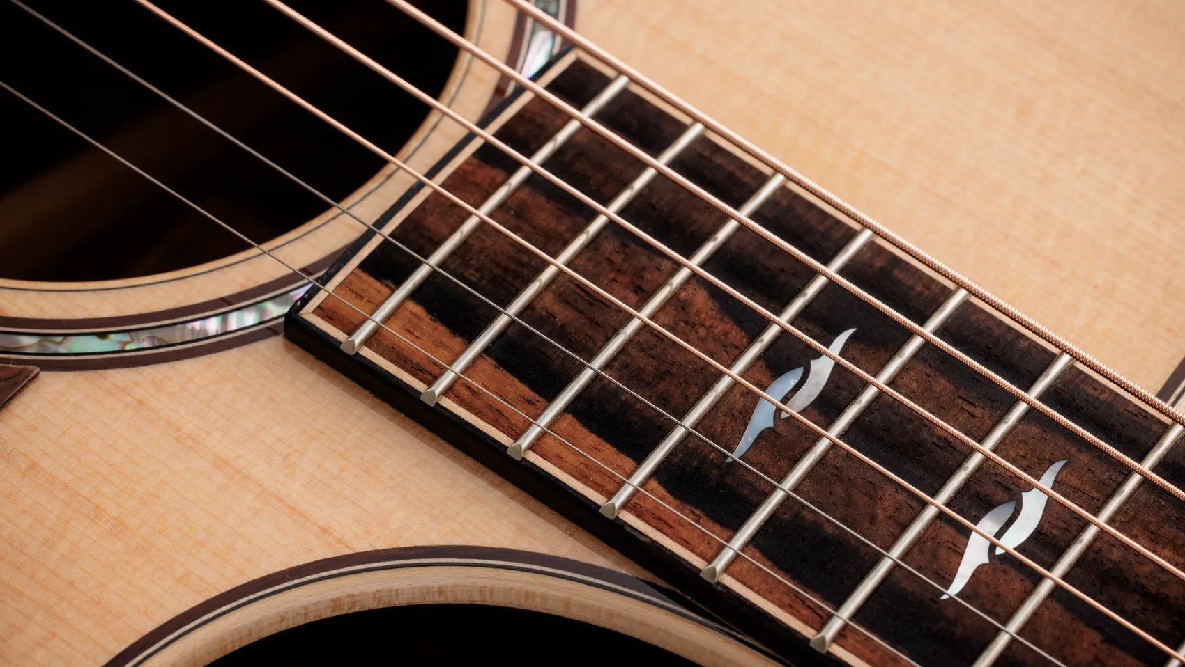 814ce LTD Cocobolo Acoustic-Electric Guitar | Taylor Guitars