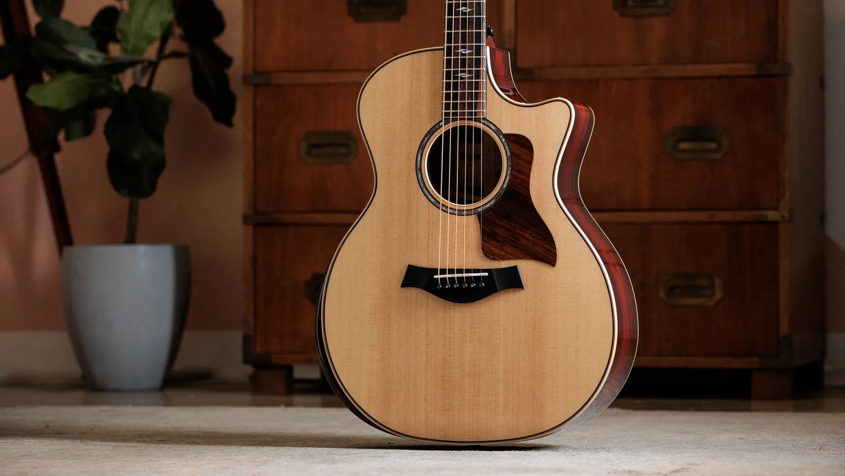 DeliciousTaylormade The LargeRAD ‘26LTD 814ce LTD Cocobolo Acoustic-Electric Guitar | Taylor Guitars