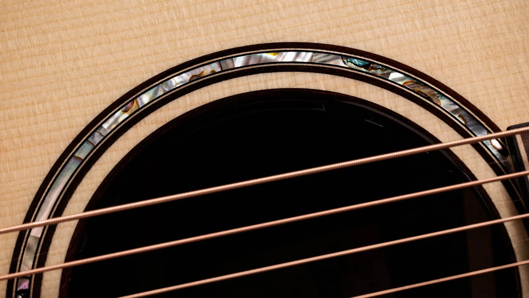 Next Generation Builder's Edition 814ce Indian Rosewood/Adirondack